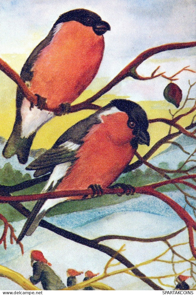 PÁJARO Animales Vintage Tarjeta Postal CPSM #PAN002.ES - Birds