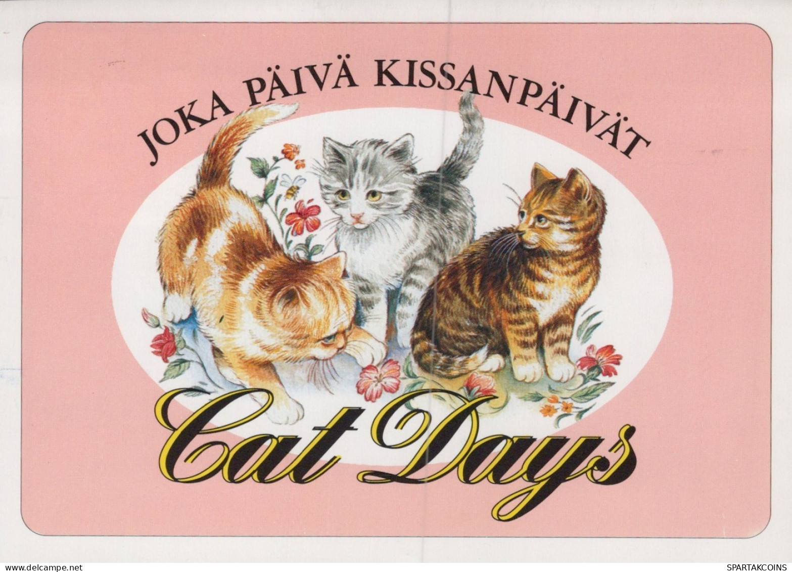 GATO GATITO Animales Vintage Tarjeta Postal CPSM #PAM436.ES - Katzen