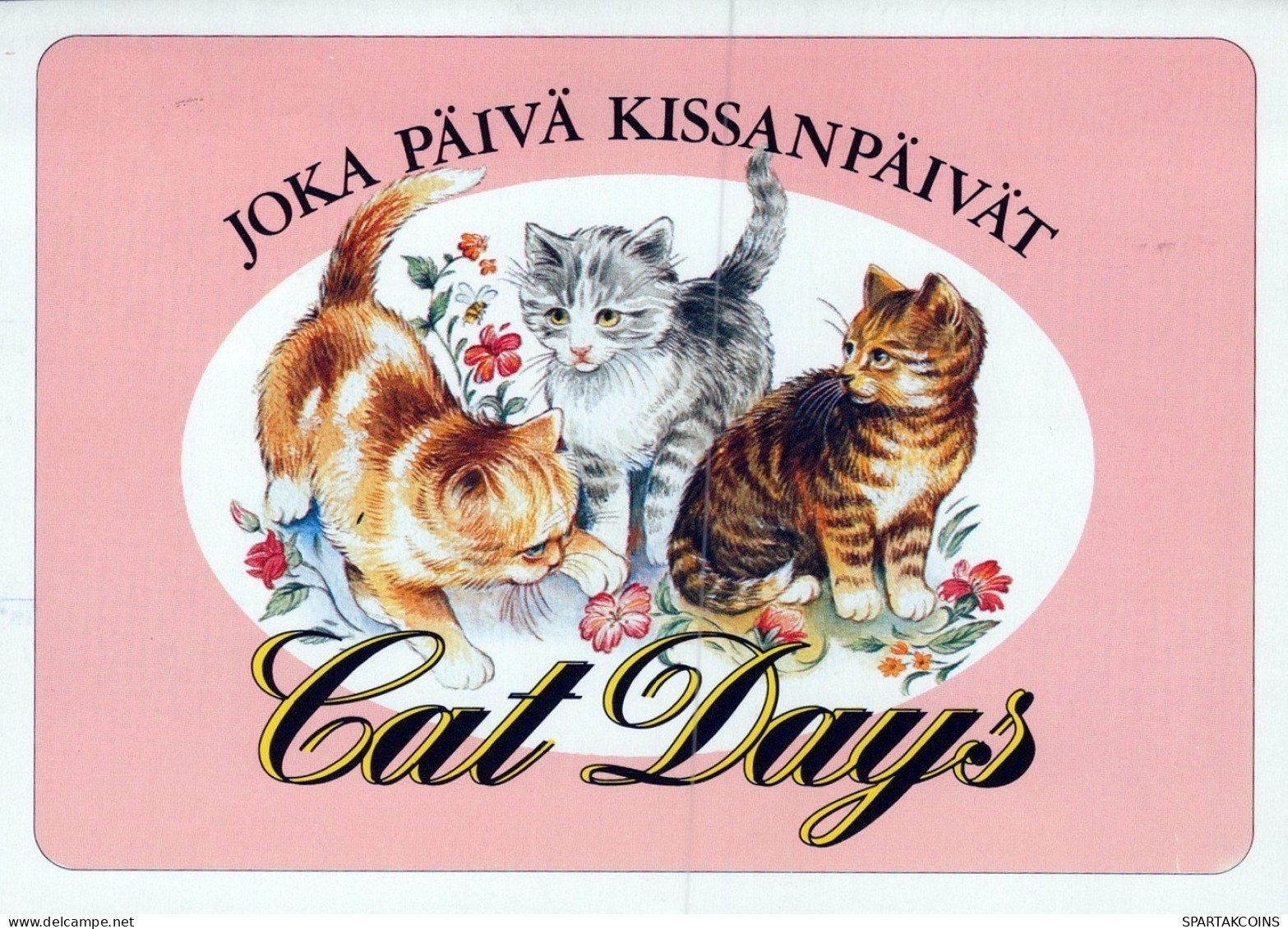 GATO GATITO Animales Vintage Tarjeta Postal CPSM #PAM436.ES - Katzen