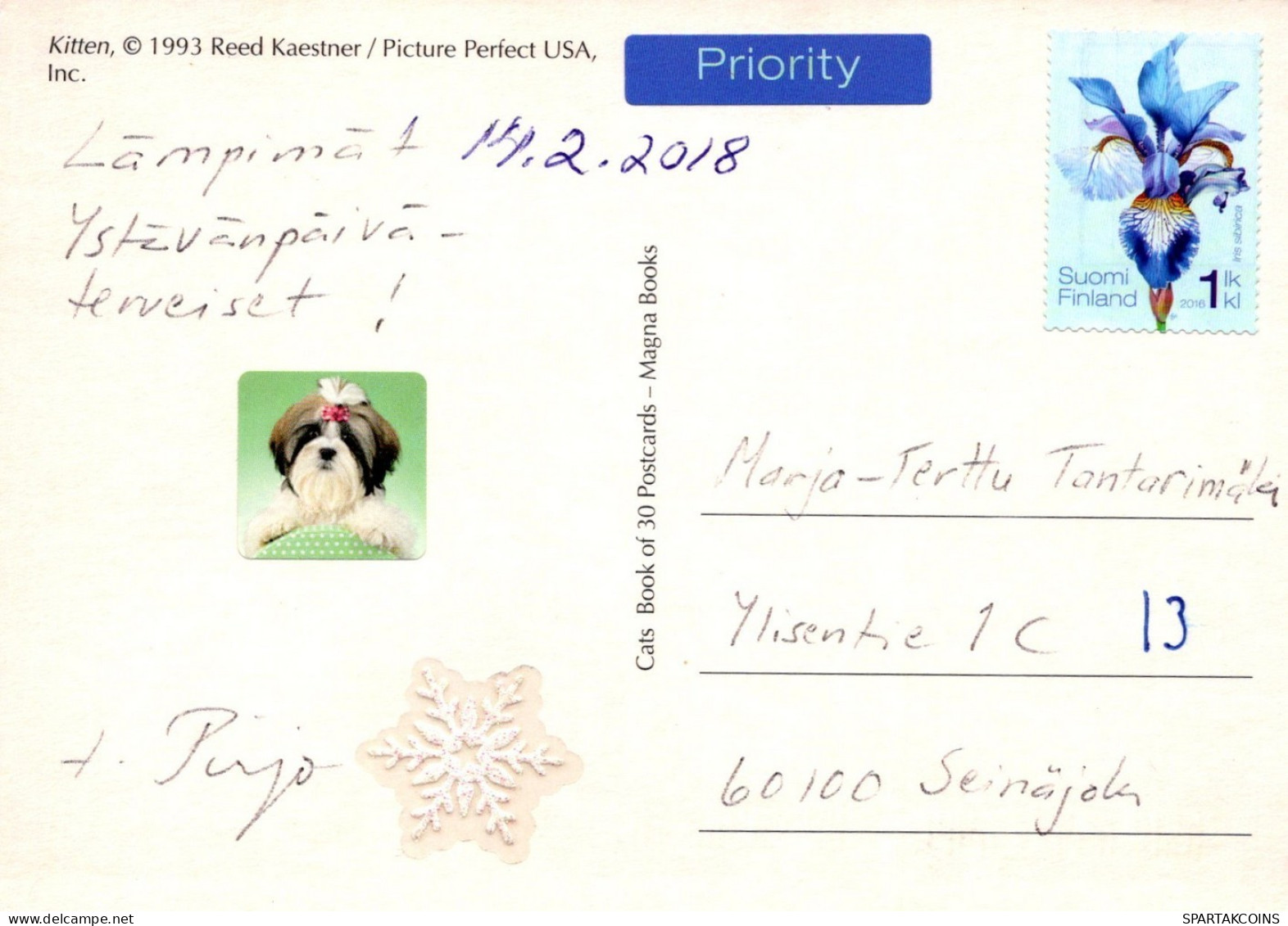 GATO GATITO Animales Vintage Tarjeta Postal CPSM #PAM558.ES - Chats