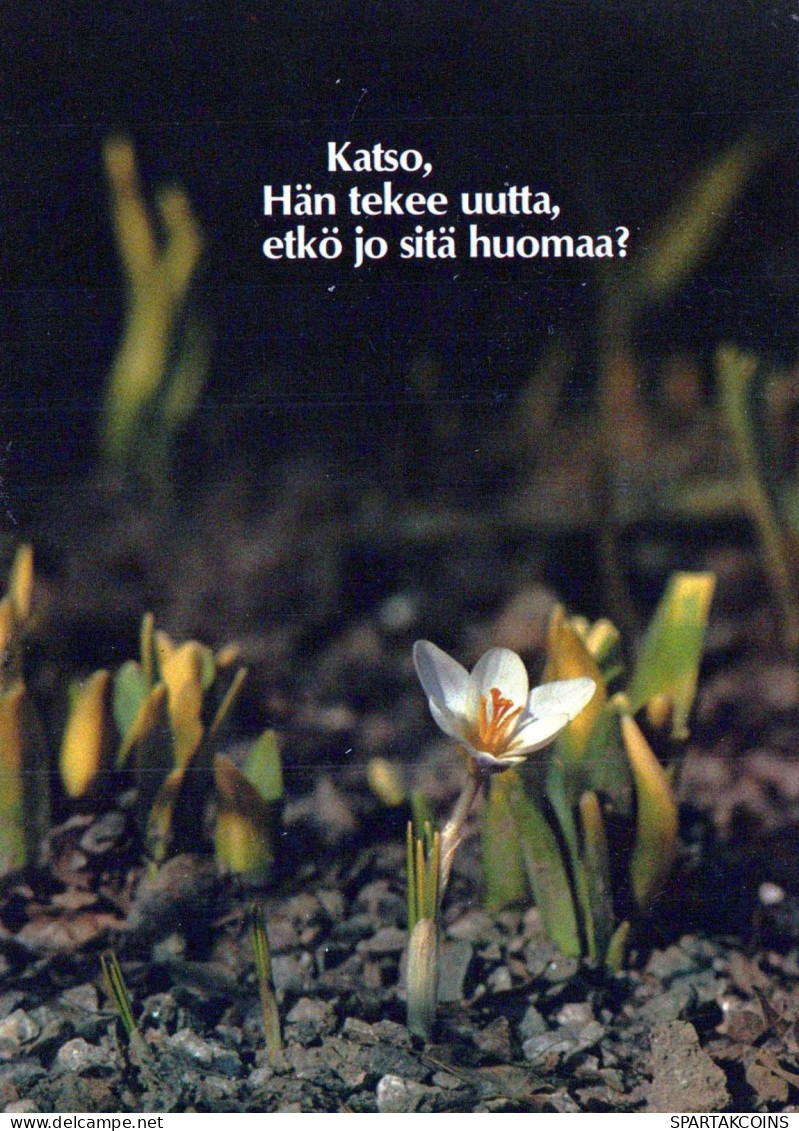 FIORI Vintage Cartolina CPSM #PBZ094.IT - Flowers