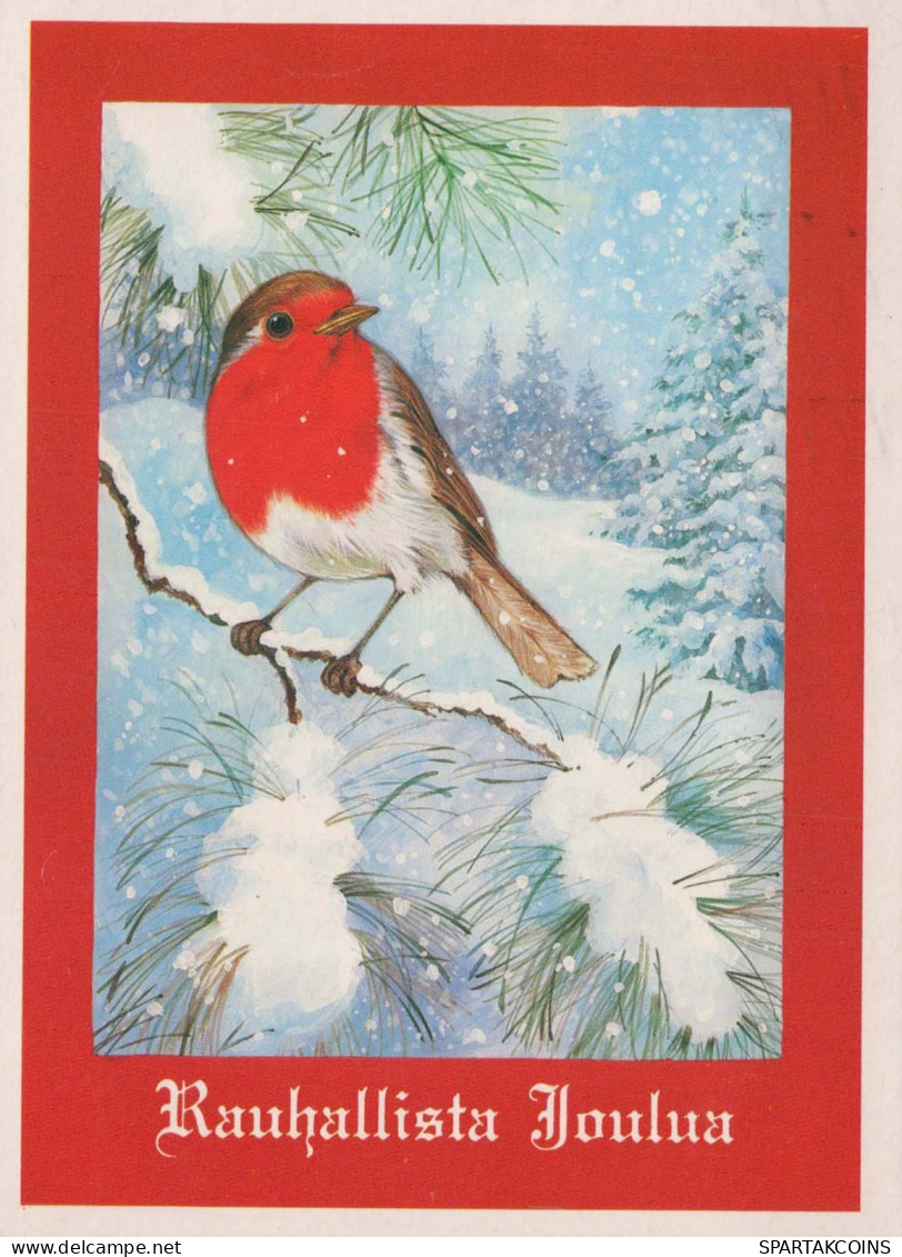 UCCELLO Animale Vintage Cartolina CPSM #PBR381.IT - Birds