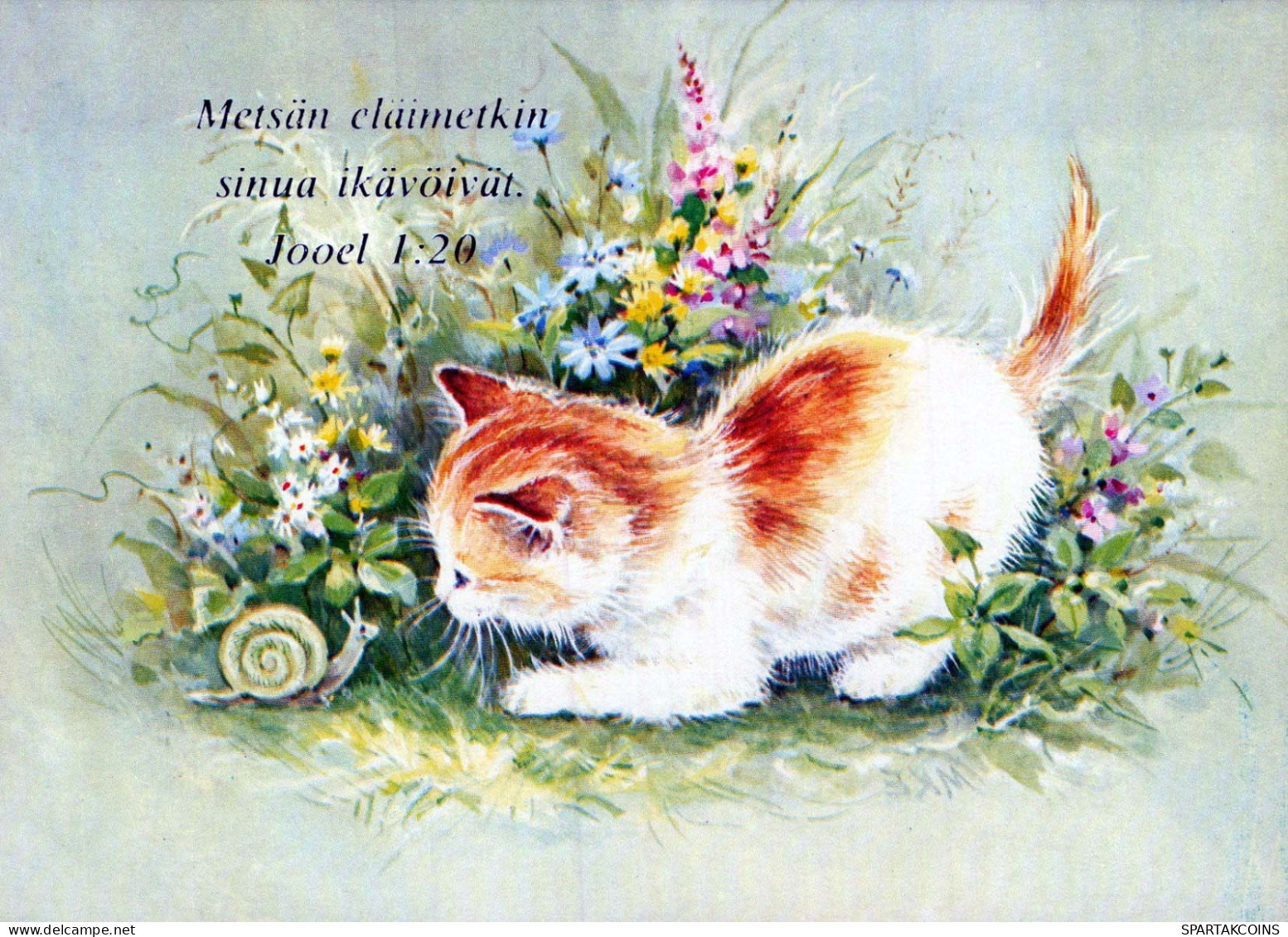 GATTO KITTY Animale Vintage Cartolina CPSM #PBQ975.IT - Katzen
