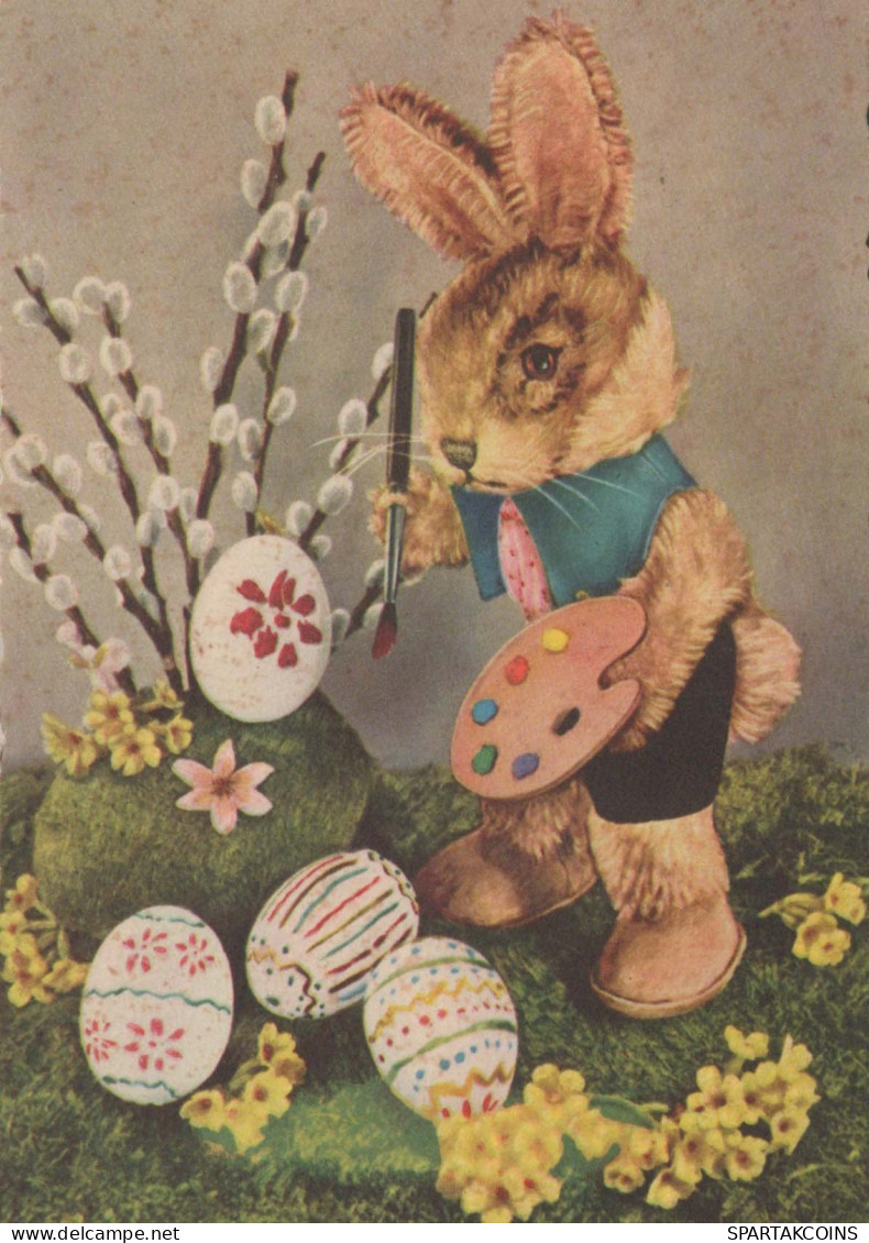 PASQUA CONIGLIO UOVO Vintage Cartolina CPSM #PBO367.IT - Easter