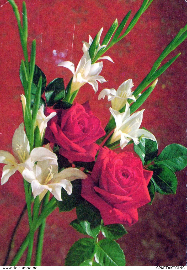 FLOWERS Vintage Ansichtskarte Postkarte CPSM #PAS046.DE - Bloemen