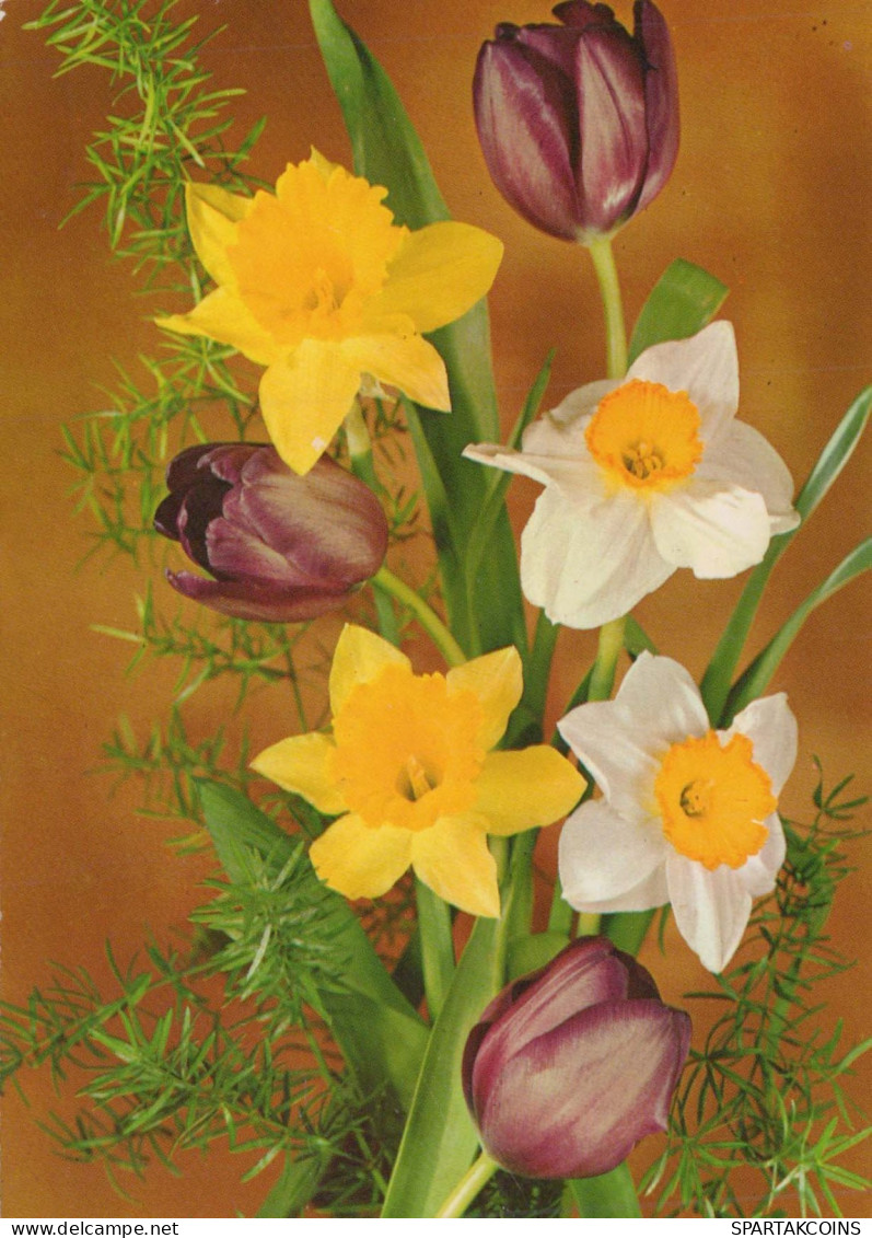 FLOWERS Vintage Ansichtskarte Postkarte CPSM #PAR023.DE - Flowers