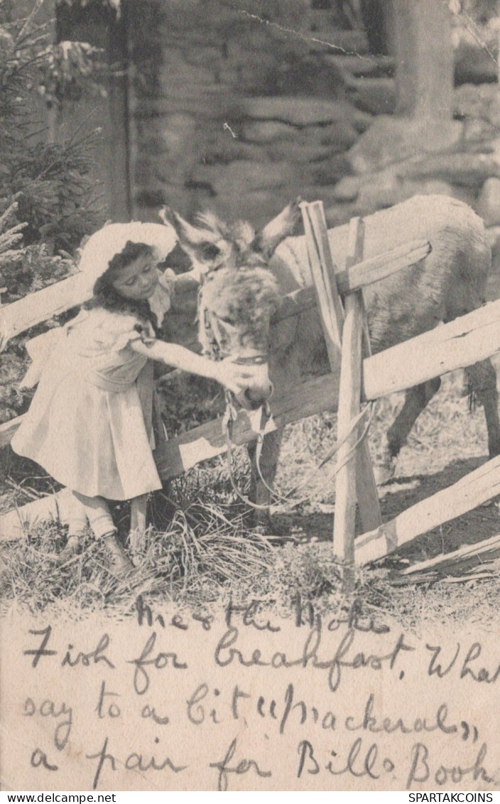 BURRO Animales Niños Vintage Antiguo CPA Tarjeta Postal #PAA168.ES - Esel