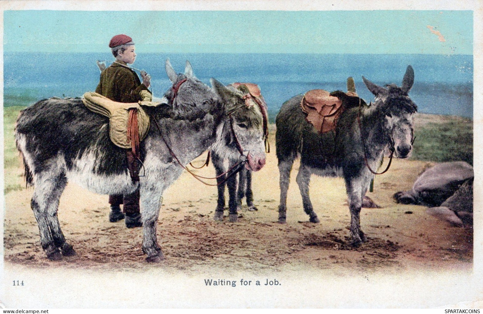BURRO Animales Niños Vintage Antiguo CPA Tarjeta Postal #PAA331.ES - Donkeys