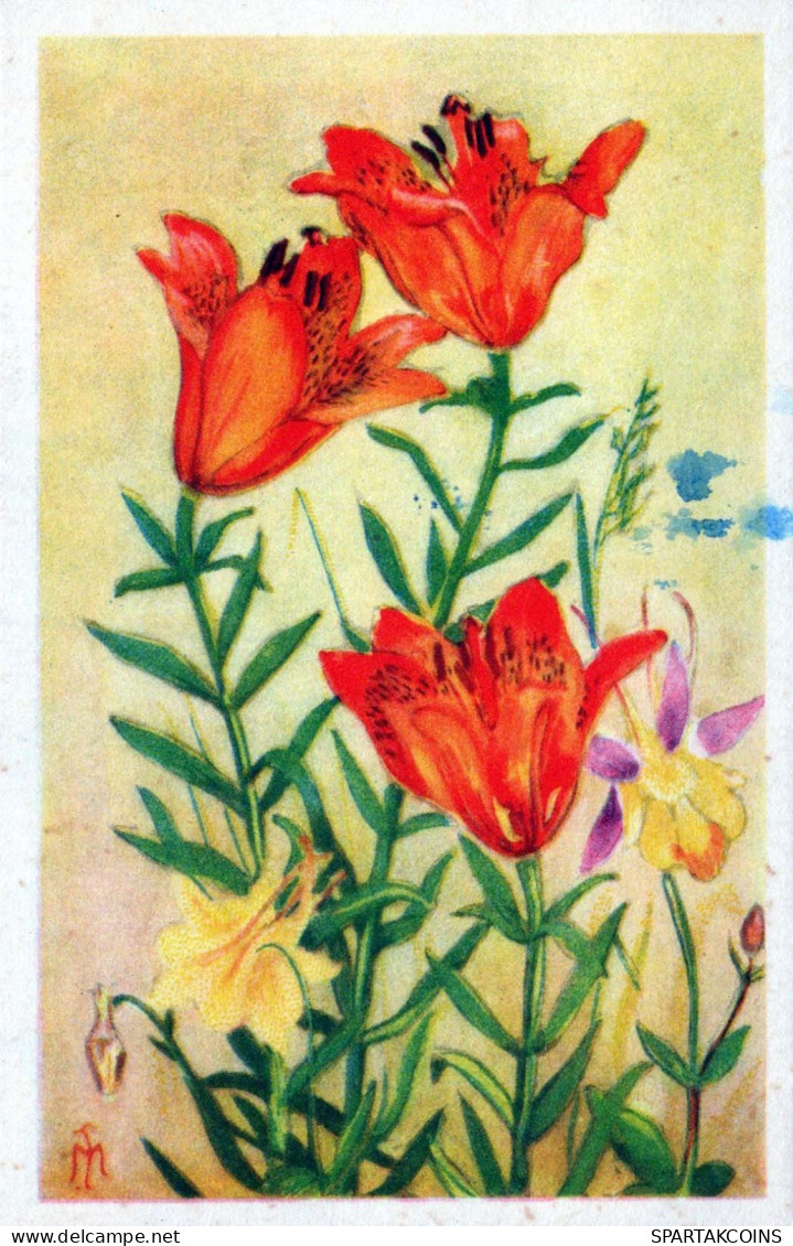 FLORES Vintage Tarjeta Postal CPA #PKE687.ES - Bloemen