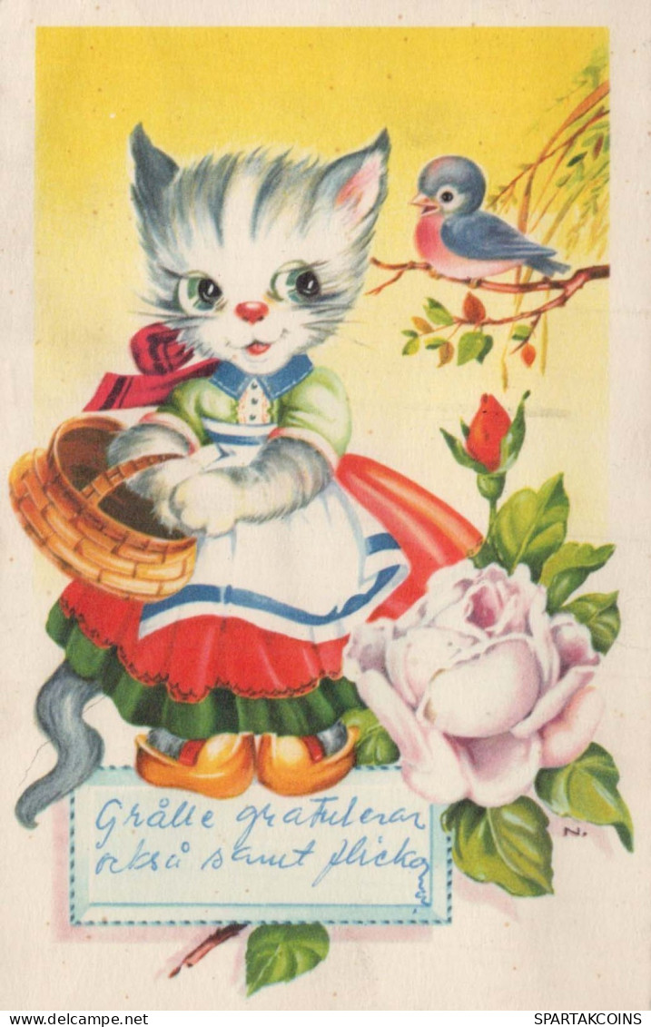 GATO GATITO Animales Vintage Tarjeta Postal CPA #PKE747.ES - Katzen