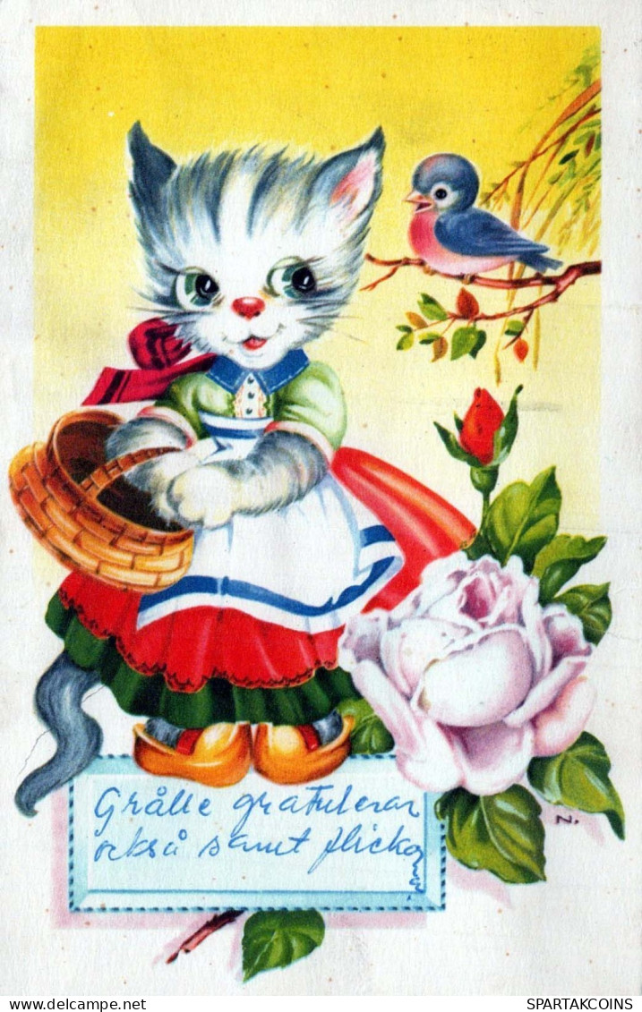 GATO GATITO Animales Vintage Tarjeta Postal CPA #PKE747.ES - Katzen