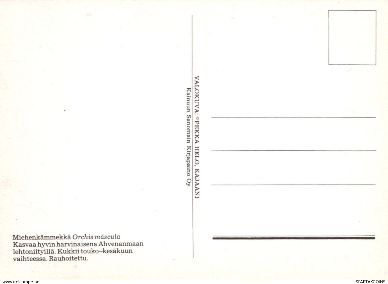 FLORES Vintage Tarjeta Postal CPSM #PBZ691.ES - Bloemen