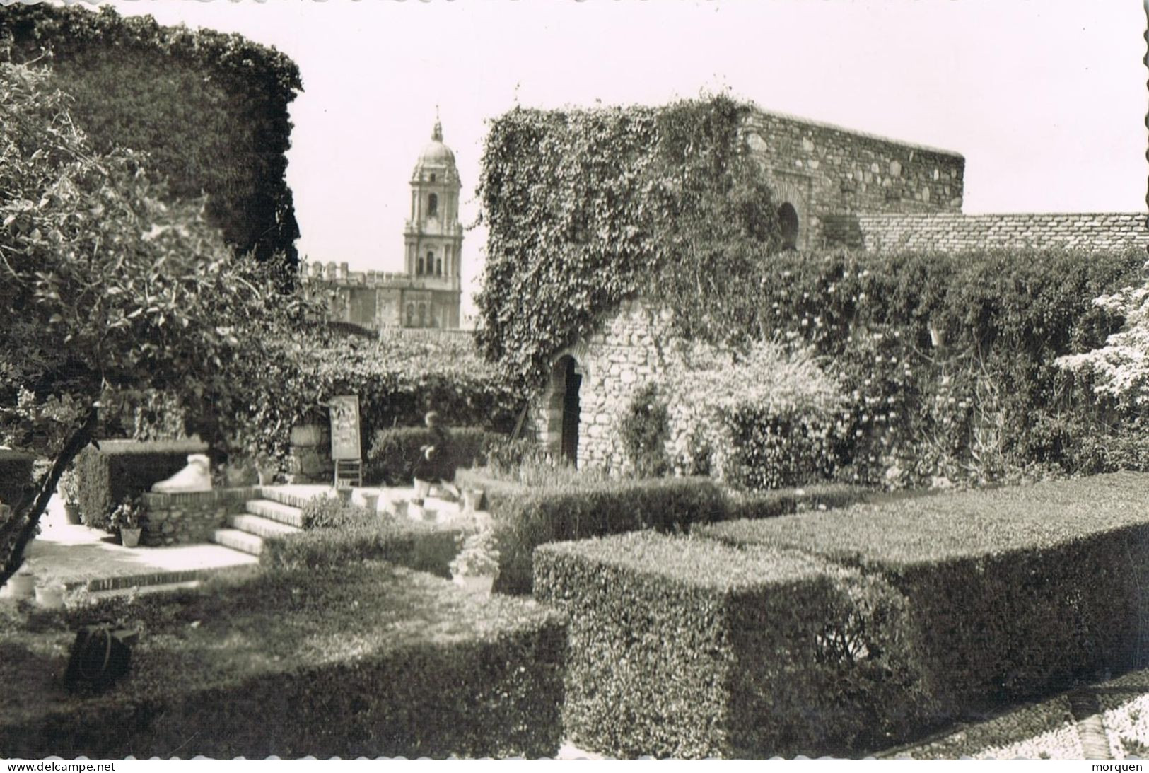 55124. Postal MALAGA, Vista De Los Jardines De La ALCAZABA - Málaga