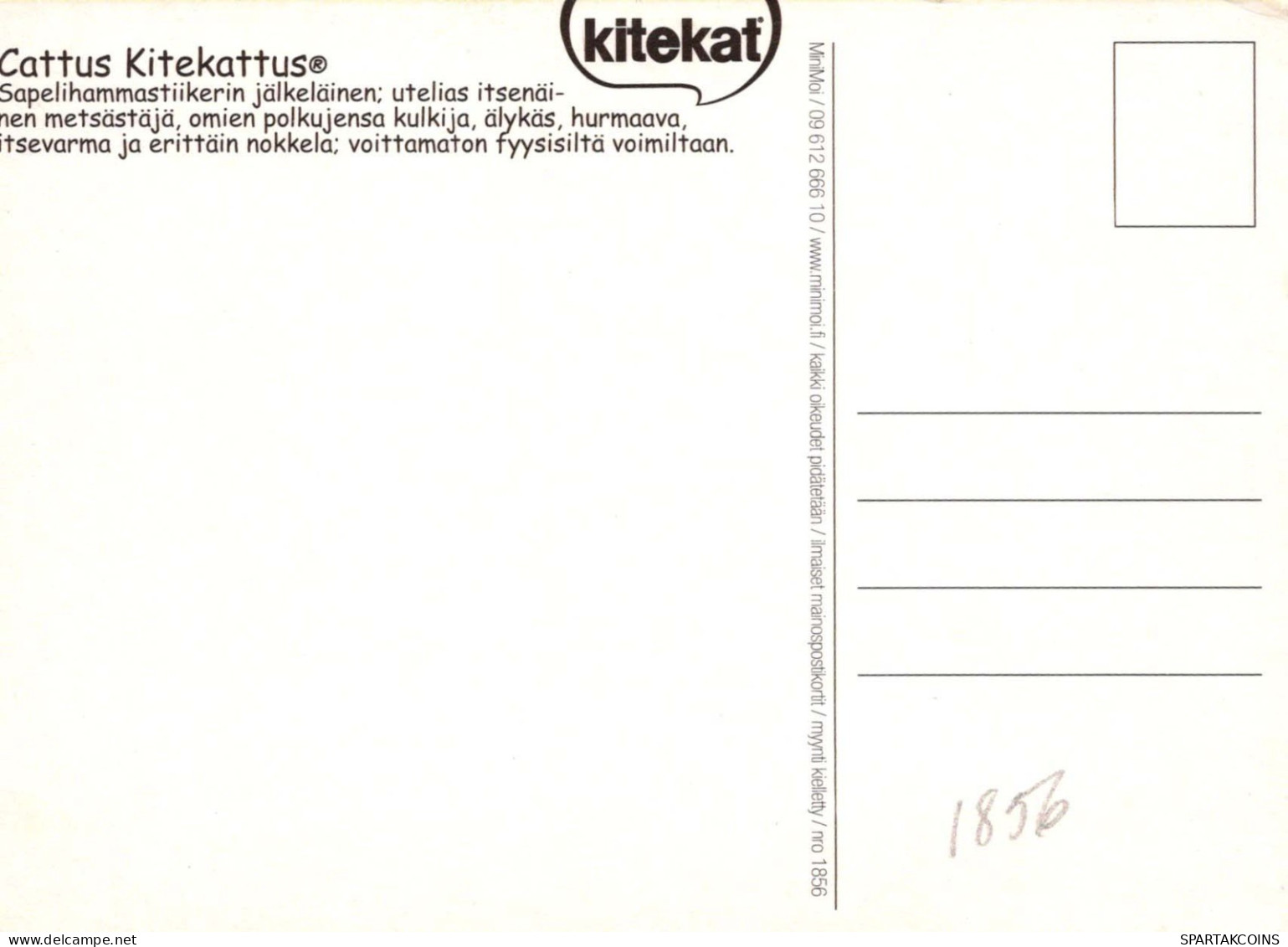 GATO GATITO Animales Vintage Tarjeta Postal CPSM #PBQ972.ES - Katzen