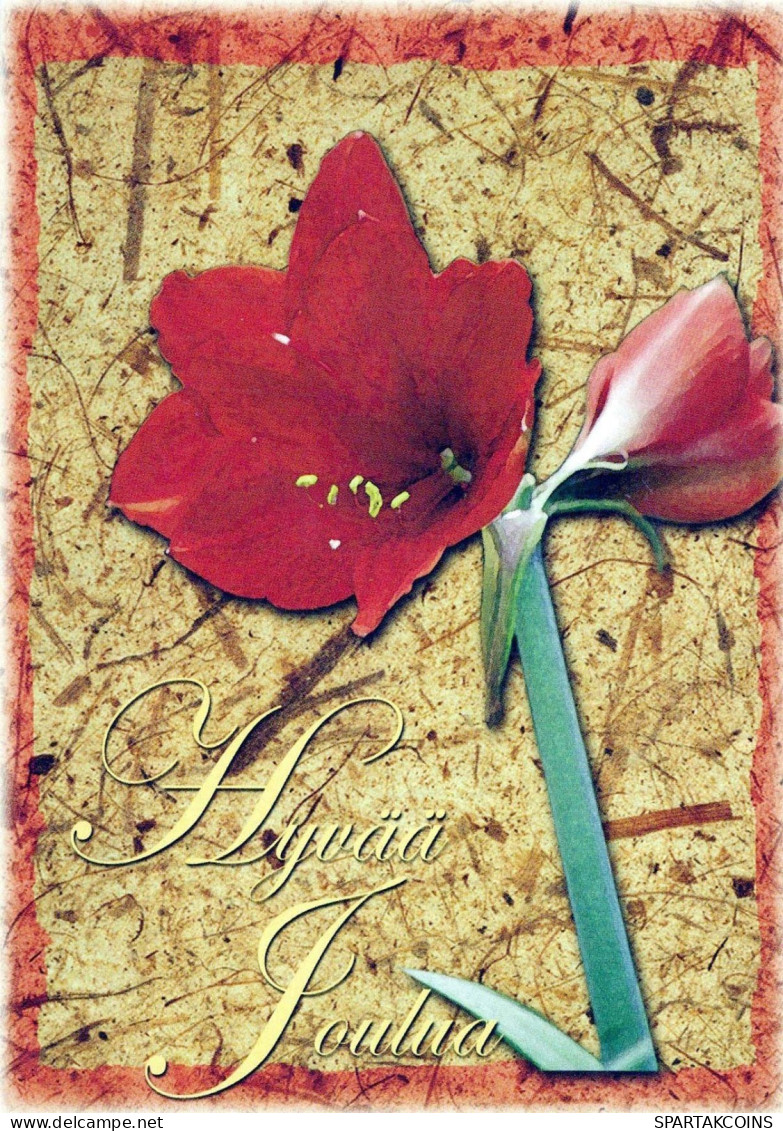 FLOWERS Vintage Ansichtskarte Postkarte CPSM #PBZ333.DE - Fleurs