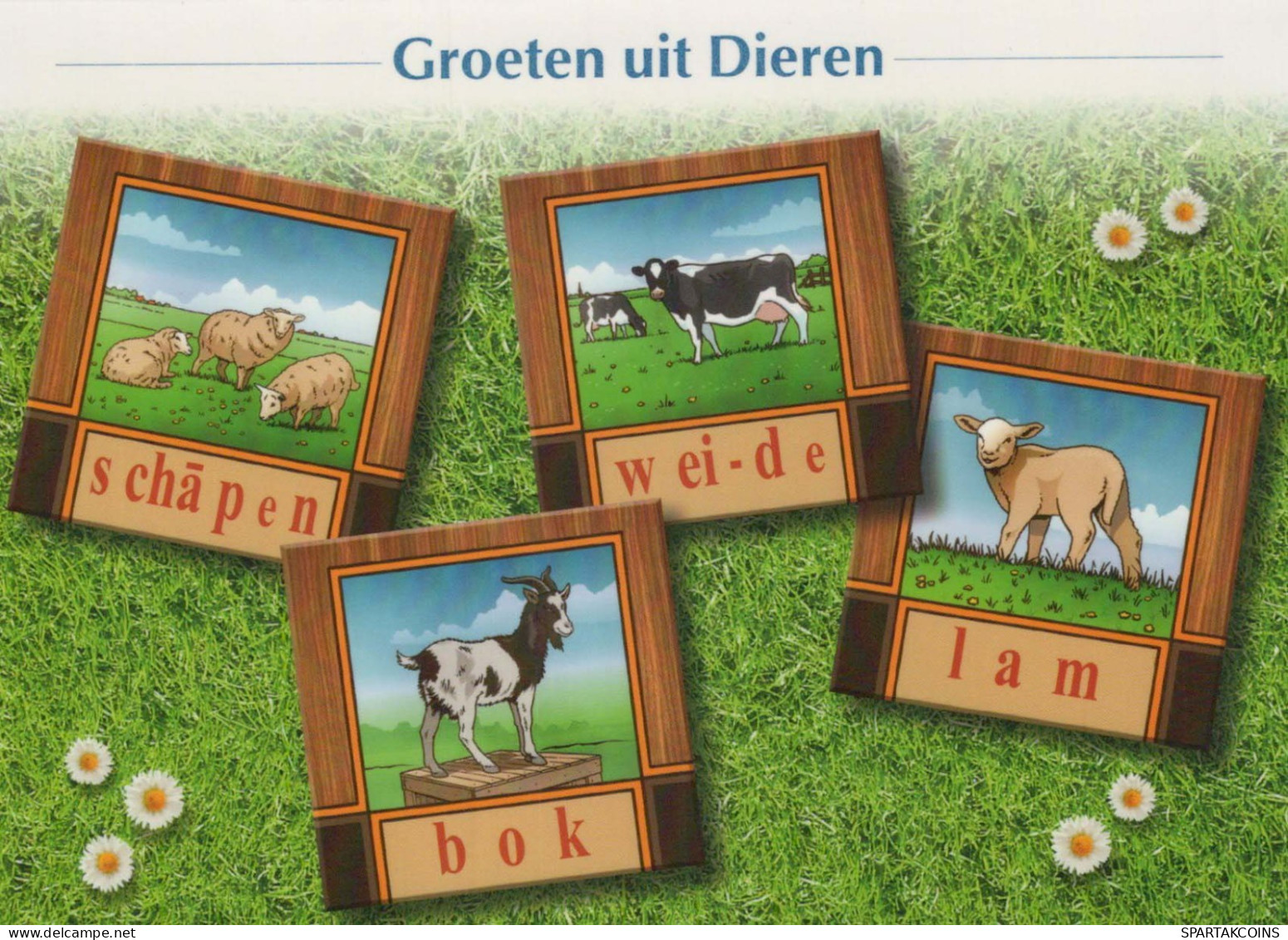 KUH Tier Vintage Ansichtskarte Postkarte CPSM #PBR818.DE - Cows