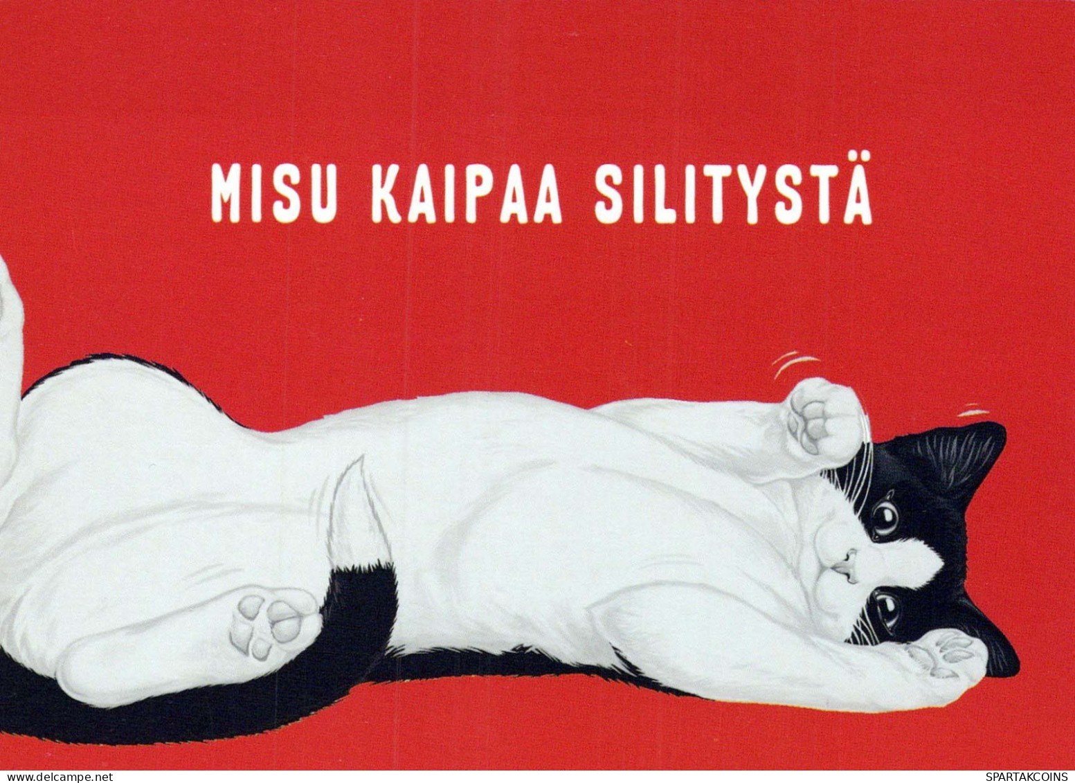 KATZE MIEZEKATZE Tier Vintage Ansichtskarte Postkarte CPSM #PBQ974.DE - Cats
