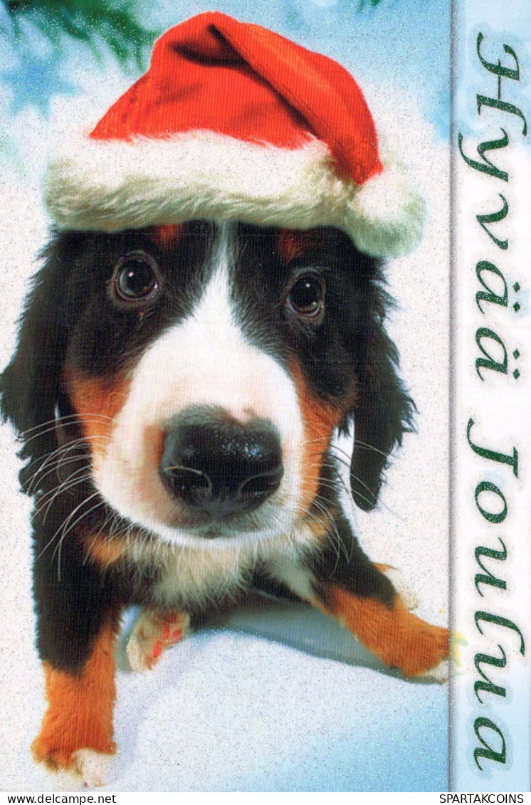 HUND Tier Vintage Ansichtskarte Postkarte CPSM #PBQ659.DE - Dogs