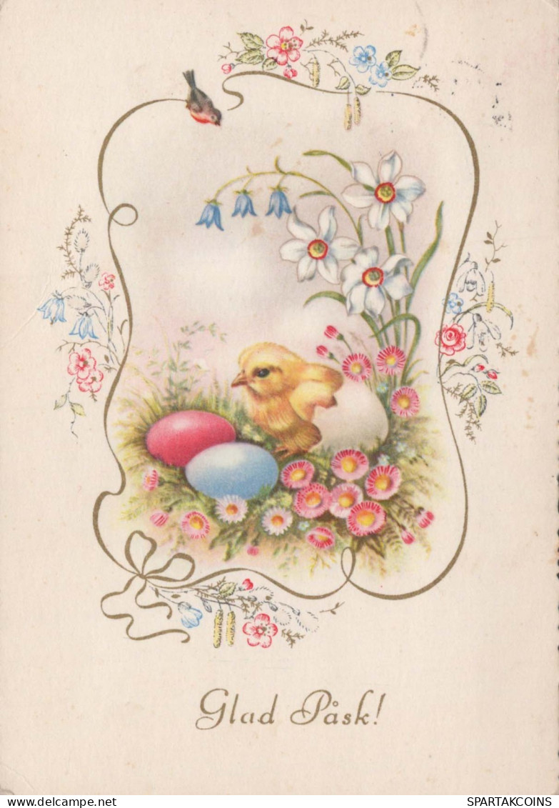 OSTERN HUHN EI Vintage Ansichtskarte Postkarte CPSM #PBO996.DE - Easter