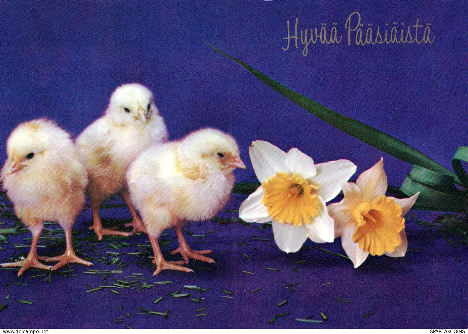 OSTERN HUHN Vintage Ansichtskarte Postkarte CPSM #PBO931.DE - Easter