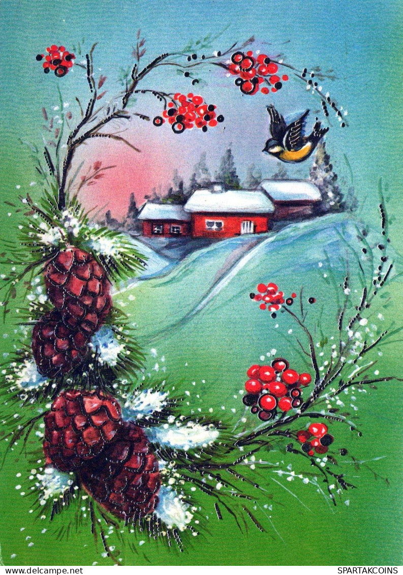 Neujahr Weihnachten VOGEL Vintage Ansichtskarte Postkarte CPSM #PBM737.DE - New Year