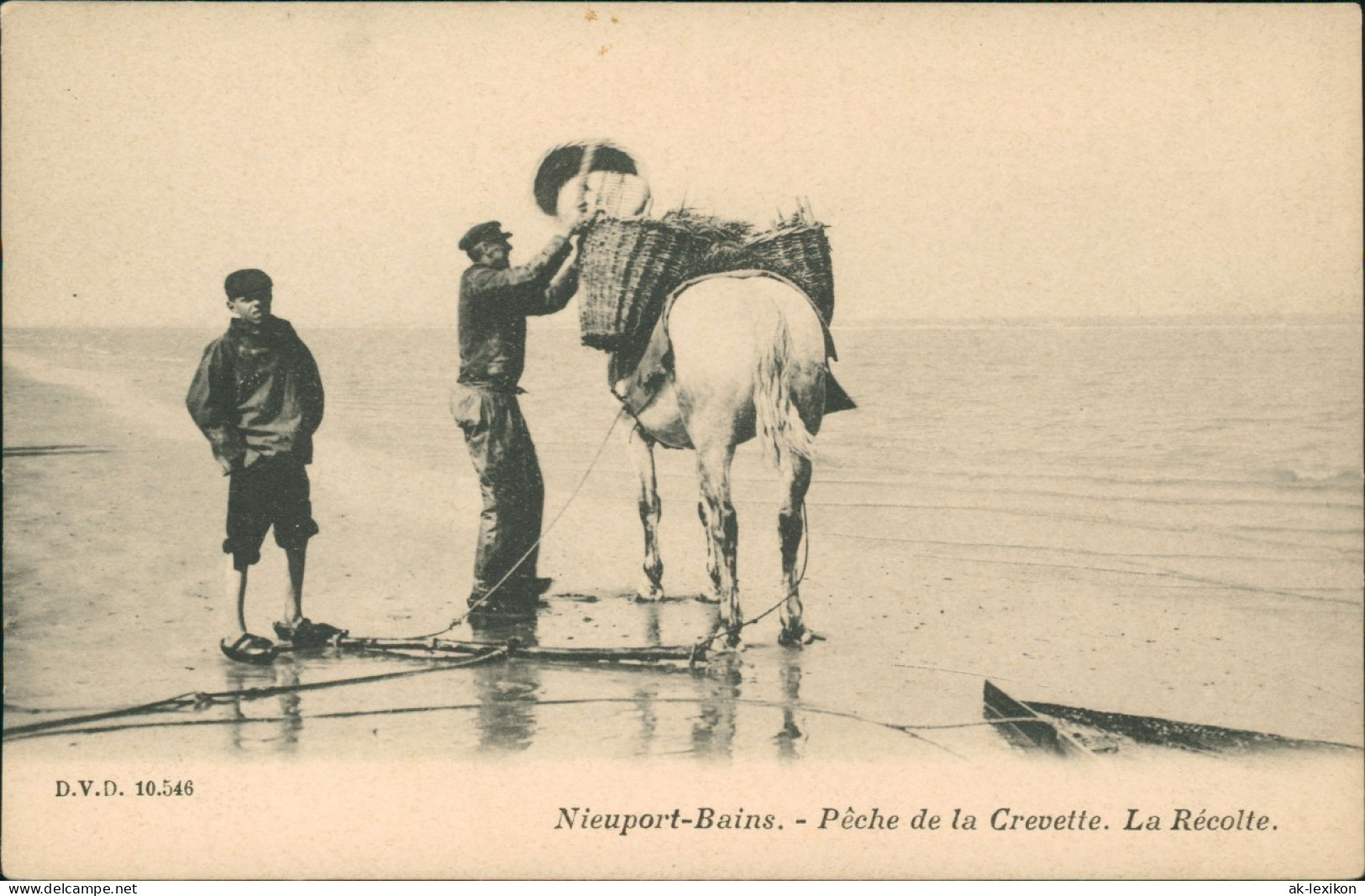 Nieuport Nieuwpoort Typen Pêche De La Crevette. La Récolte. 1911 - Other & Unclassified