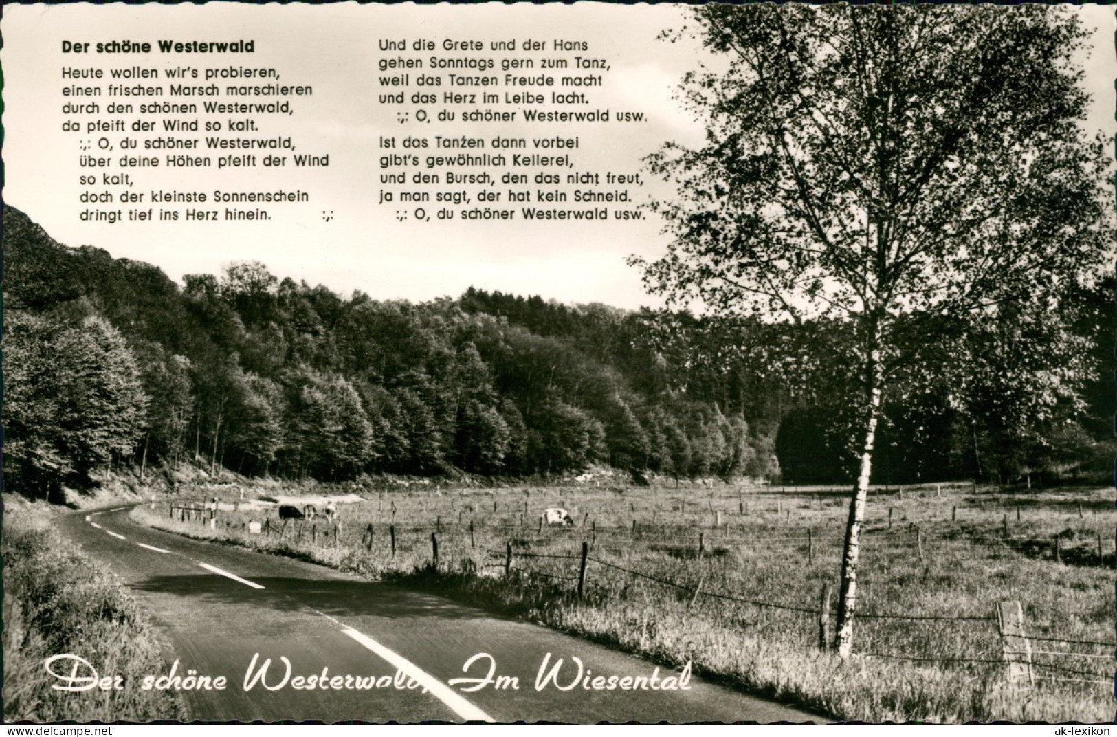 .Rheinland-Pfalz Wiesental Und Lied-Text "Der Schöne Westerwald" 1971 - Other & Unclassified