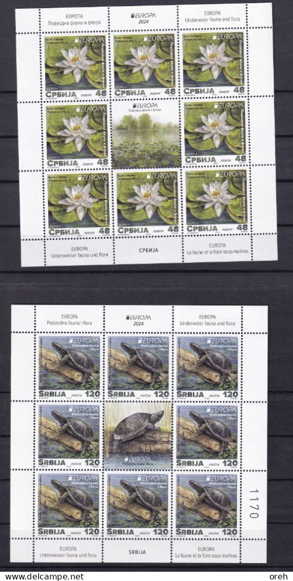 SERBIA 2024,EUROPA CEPT,Europa White Water-lily Flora Plants Pond Turtles Animals Fauna,SHEET,MNH - Serbie