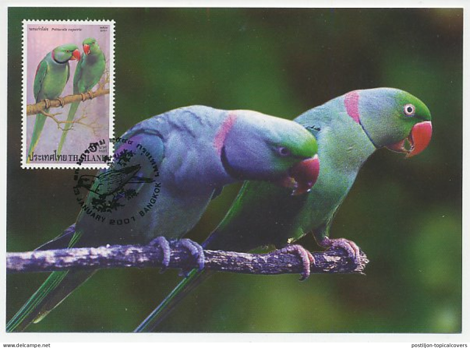 Maximum Card Thailand 2001 Bird - Parrots - Altri & Non Classificati