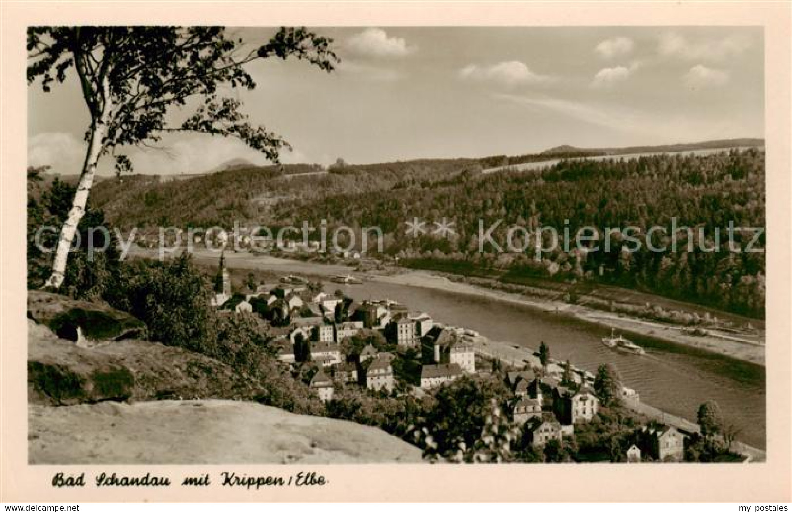 73797617 Bad Schandau Elbepartie Mit Krippen Bad Schandau - Bad Schandau