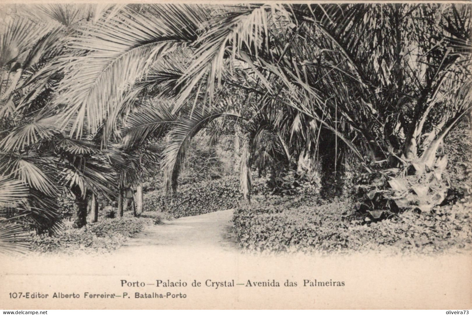 PORTO - Palacio De Cristal - Avenida Das Palmeiras (Ed. Alberto Ferreira - Nº 107) PORTUGAL - Porto