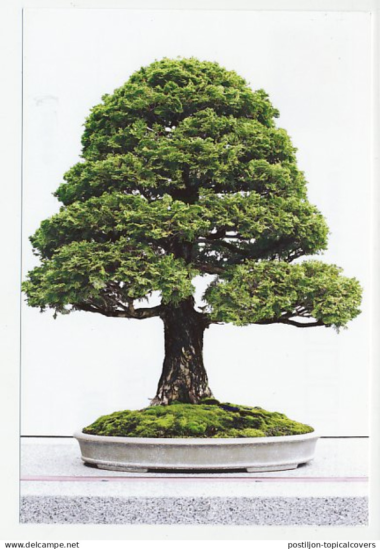 Postal Stationery China 2006 Bonsai Tree - Trees