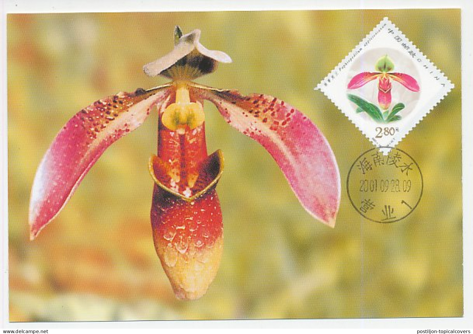 Maximum Card China 2001 Orchid - Other & Unclassified