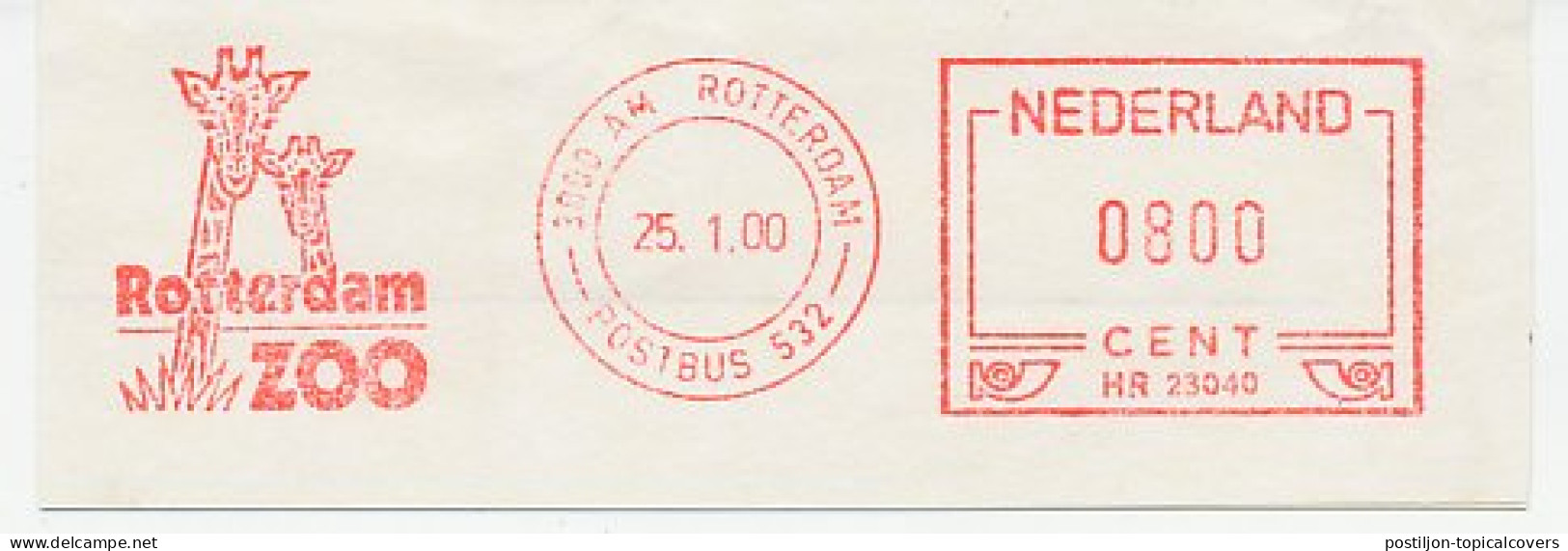 Meter Cut Netherlands 2000 Giraffe - Zoo Rotterdam - Andere & Zonder Classificatie