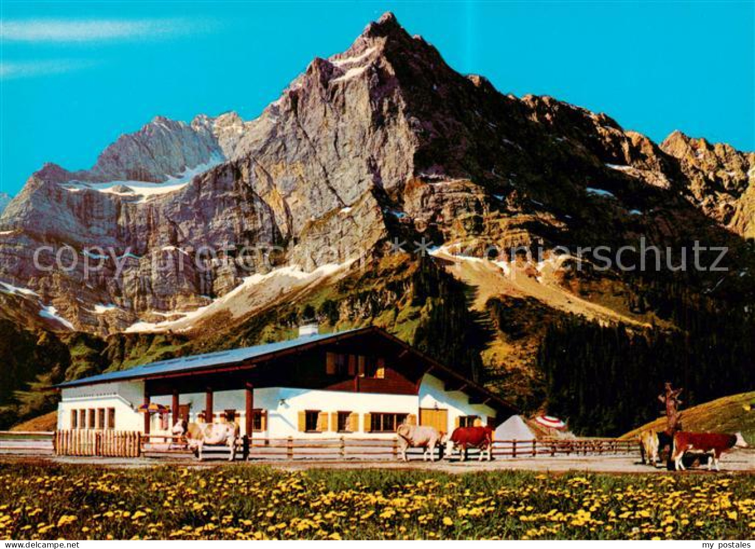73797214 Eng Alm 1272m Tirol Rasthuette Mit Karwendel  - Autres & Non Classés