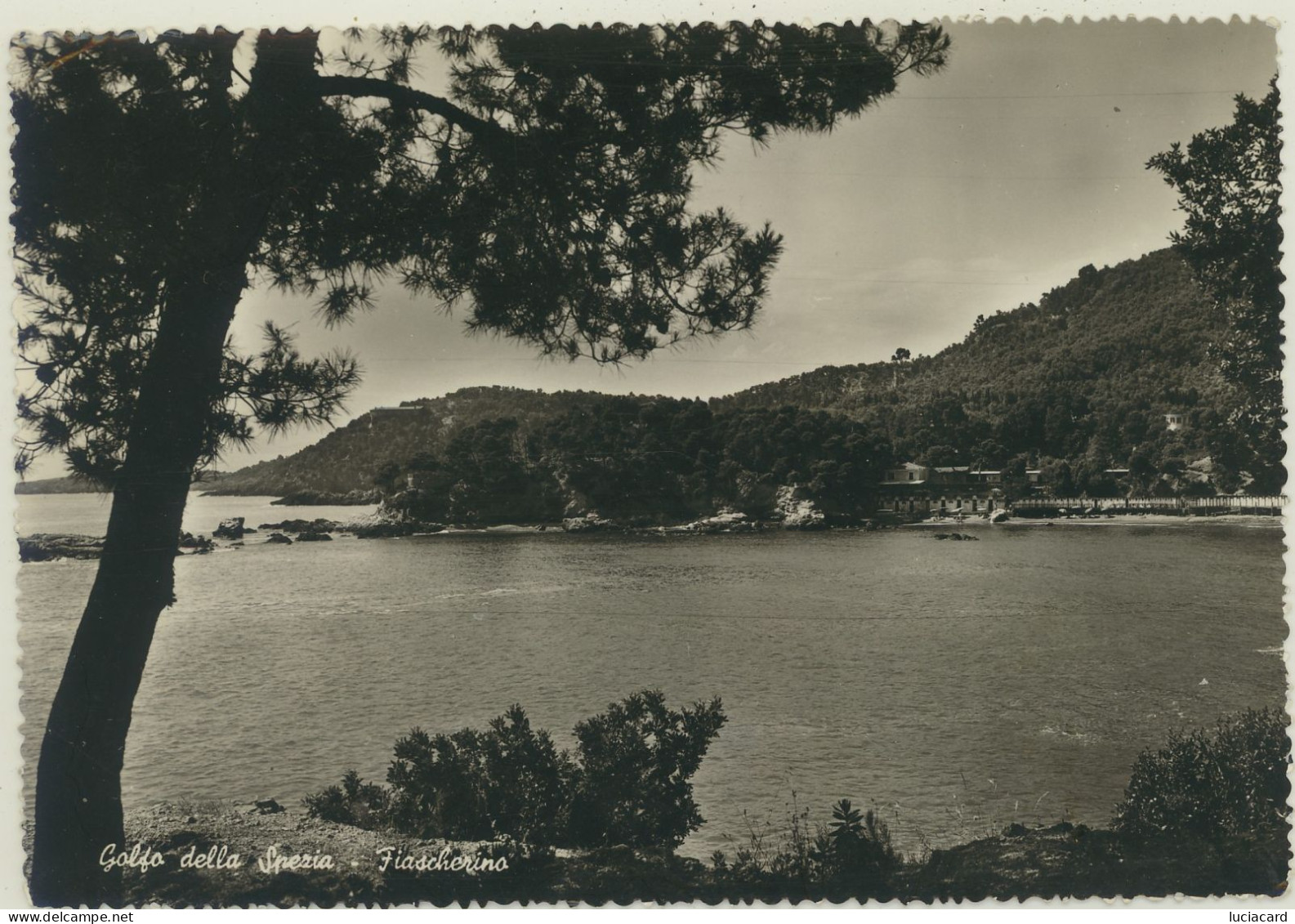 FIASCHERINO -LA SPEZIA -PANORAMA 1955 - La Spezia