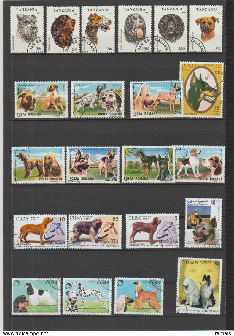 Lot De 57 Timbres Thème Chiens (lot 751) - Dogs