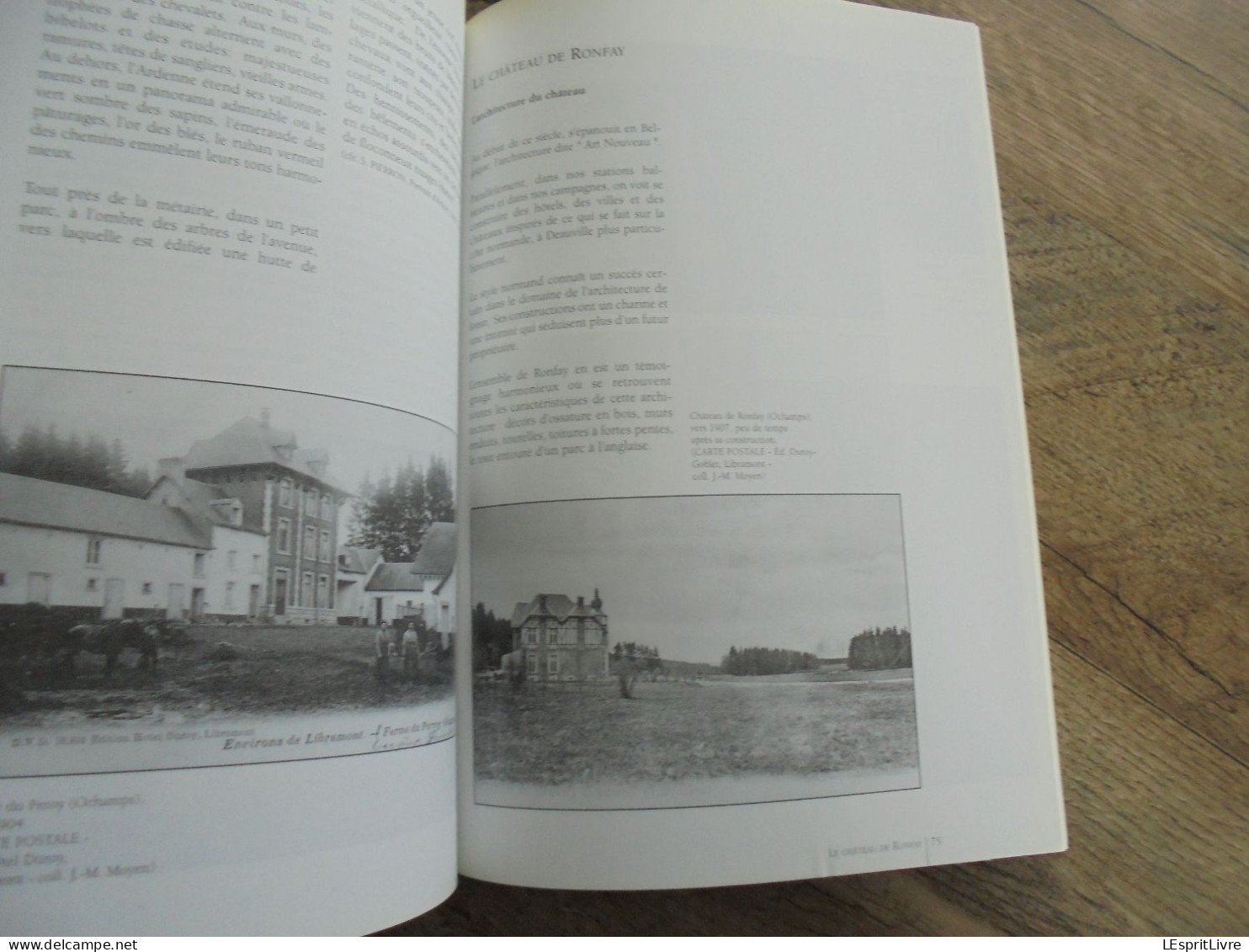 AUX SOURCES DE LA LESSE N° 2 André Collin 1862 1930 Artiste Peintre Régionalisme Généalogie Château de Ronfay Libramont