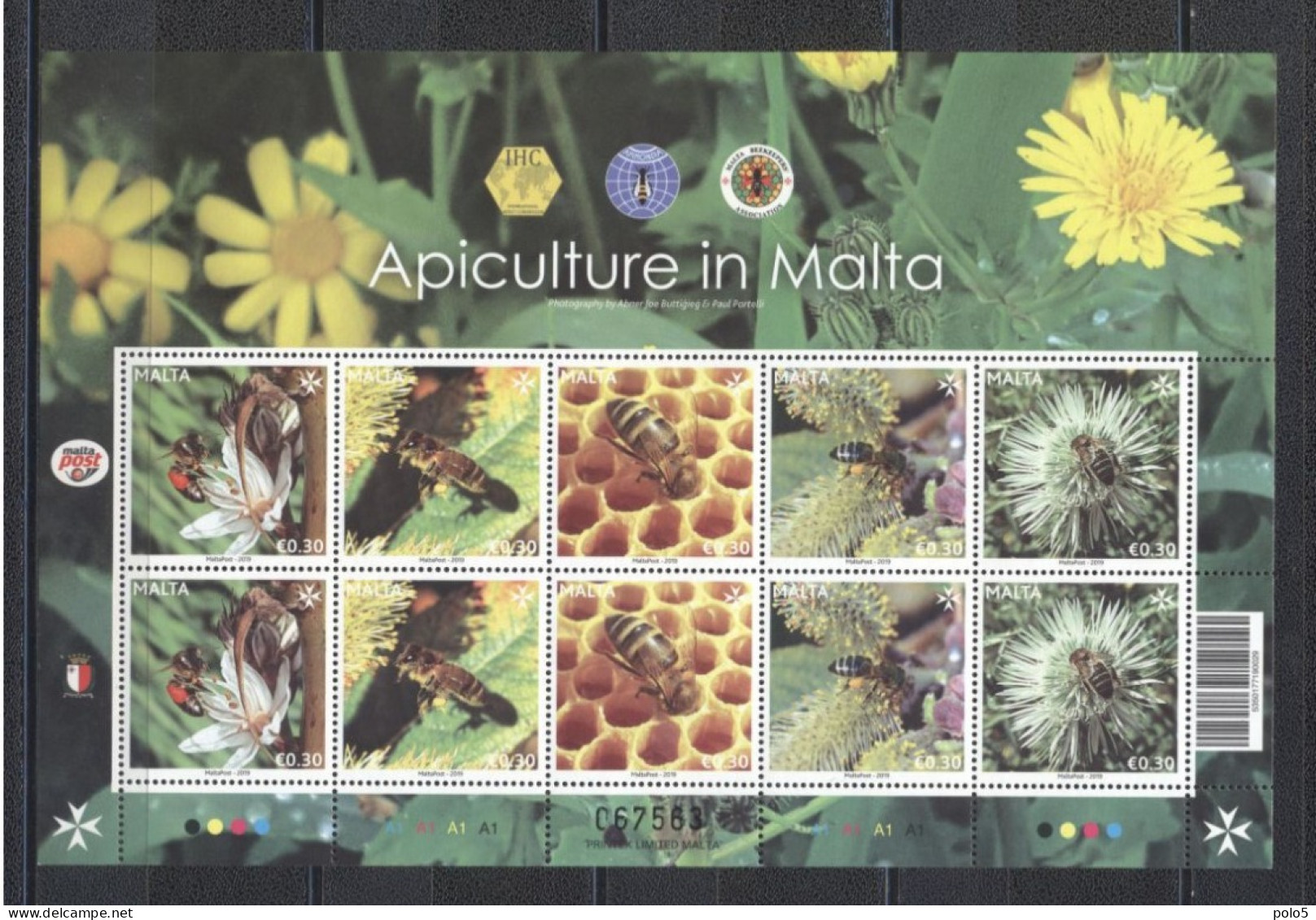 Malta 2019-Apiculture In Malta M/Sheet - Malta