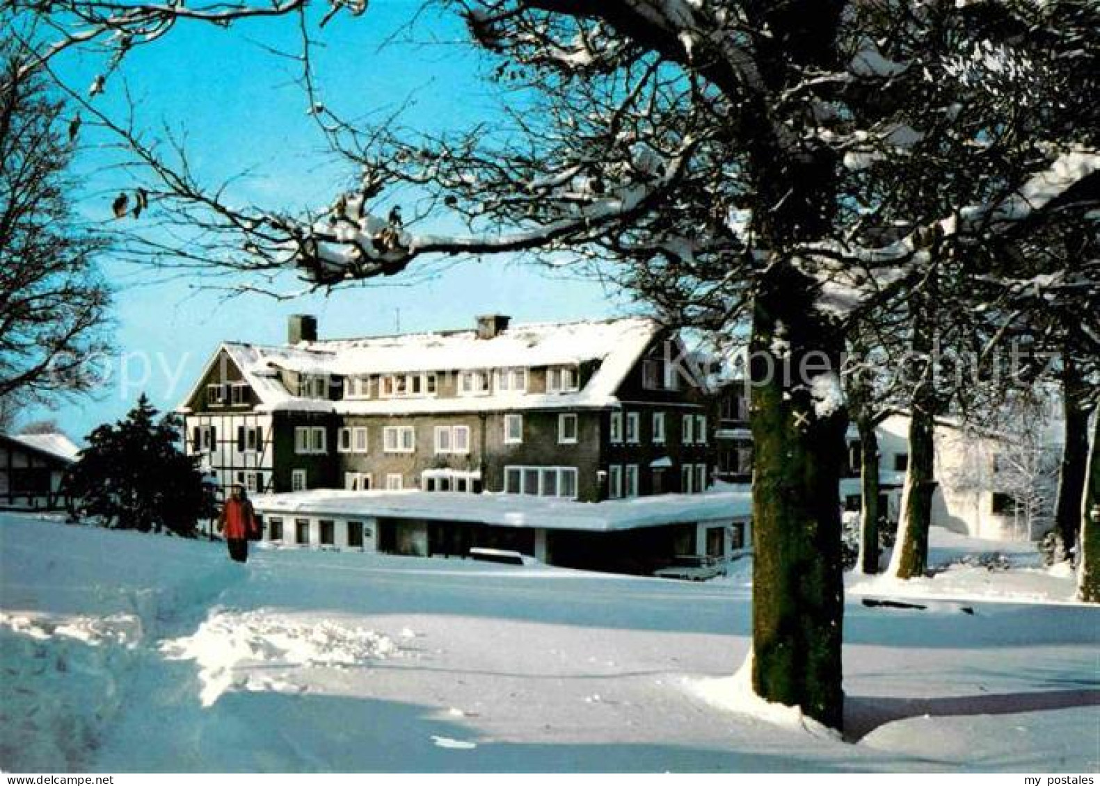 72687268 Schmallenberg Hochsauerland Jagdhaus Wiese Schmallenberg - Schmallenberg