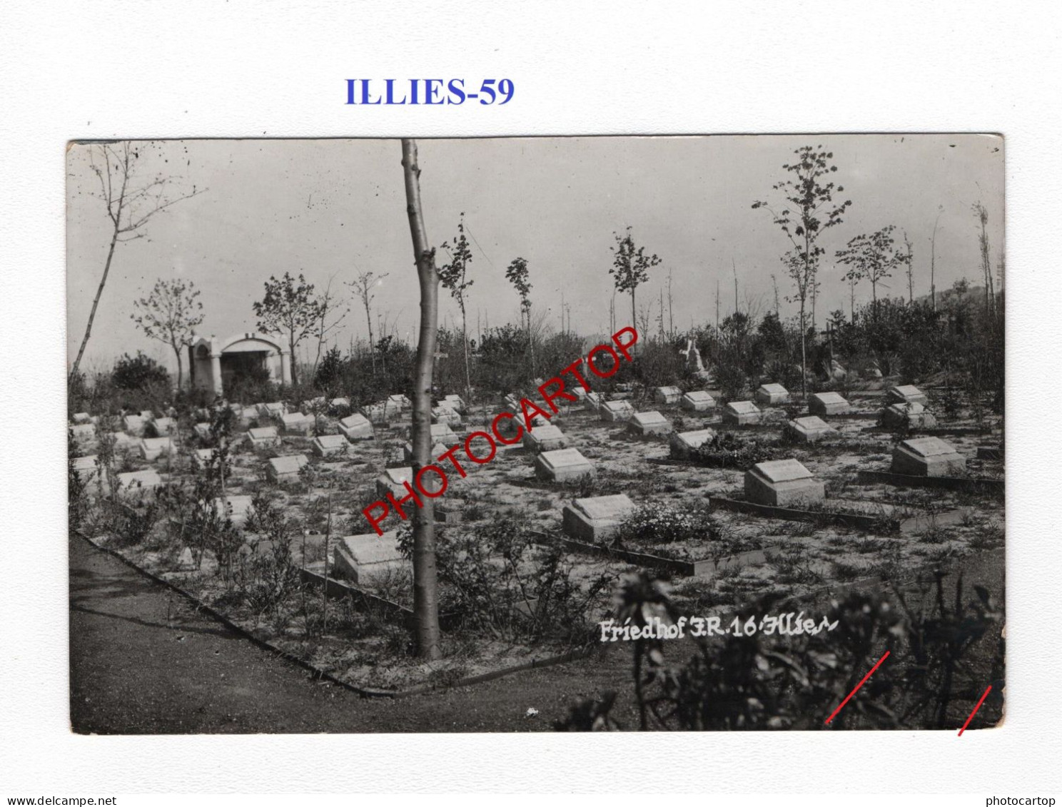ILLIES-59-Tombes-Cimetiere-CARTE PHOTO Allemande-GUERRE 14-18-1 WK-MILITARIA- - Soldatenfriedhöfen