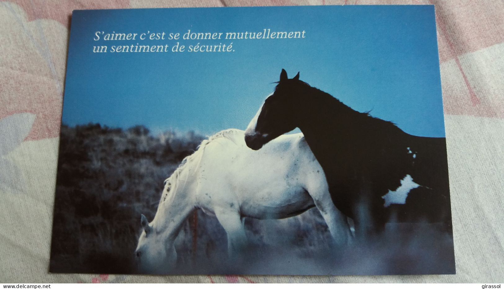 CPM CHEVAL CHEVAUX S AIMER C EST SE DONNER MUTUELLEMENT UN SENTIMENT DE SECURITE ED HOUTLAND - Pferde