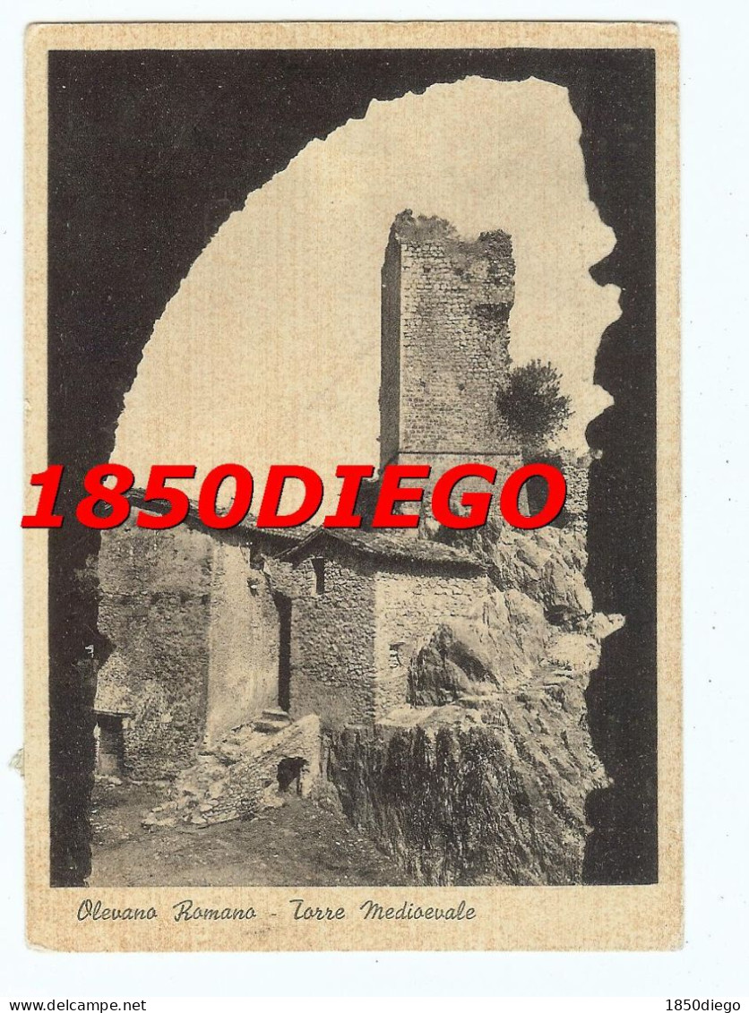 OLEVANO ROMANO - TORRE MEDIOEVALE F/GRANDE  VIAGGIATA 1952 ANIMATA - Sonstige & Ohne Zuordnung