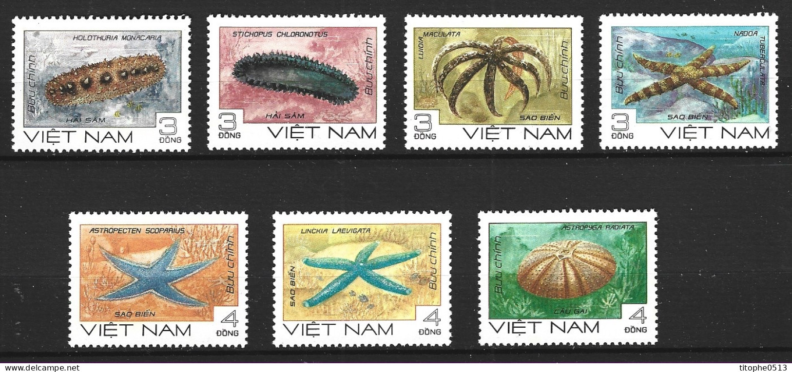 VIET NAM. N°609-15 De 1985. Animaux Marins. - Vie Marine