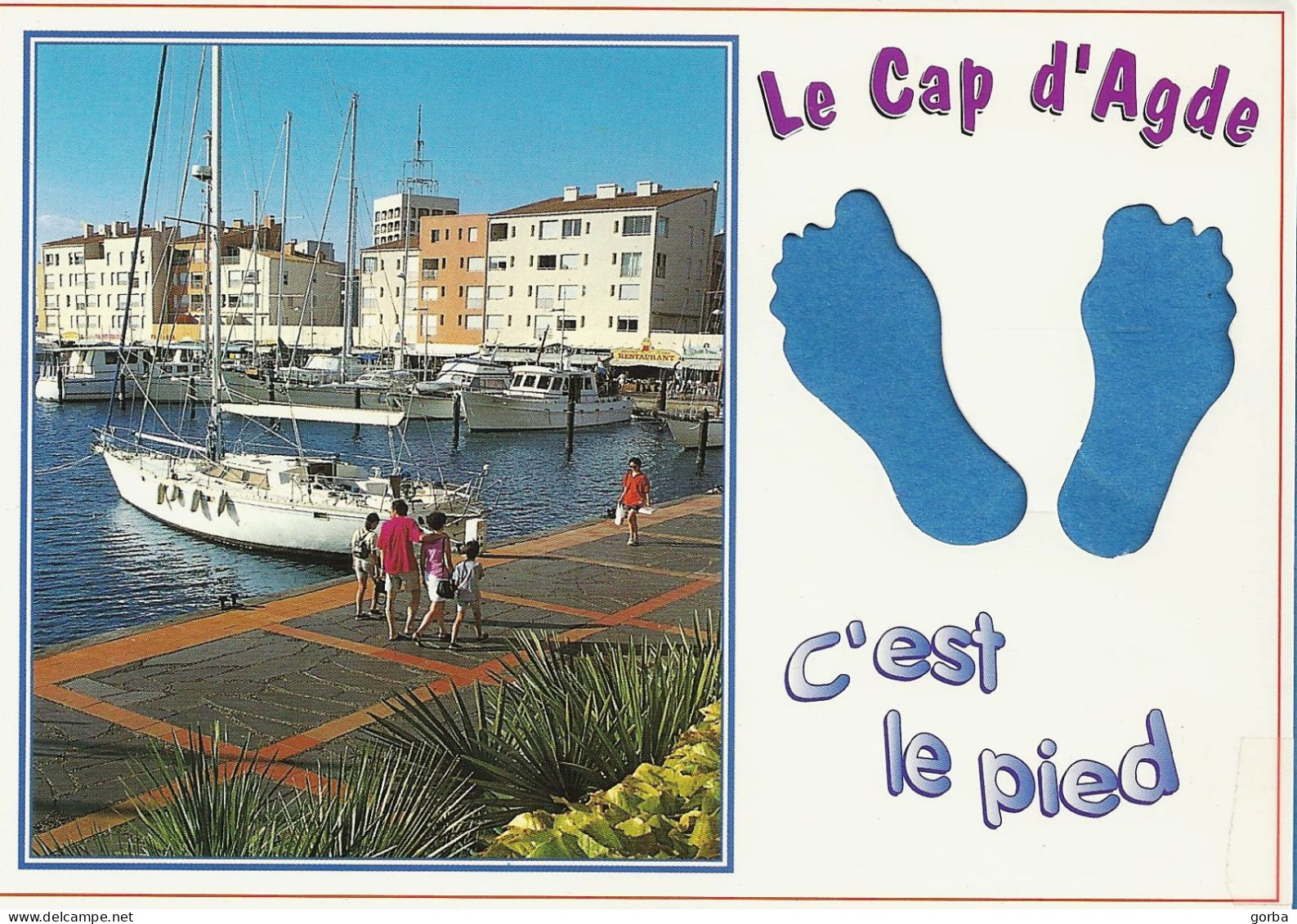 *CPM - 34 - AGDE - Cap D'Agde - C'est Le Pied - Agde
