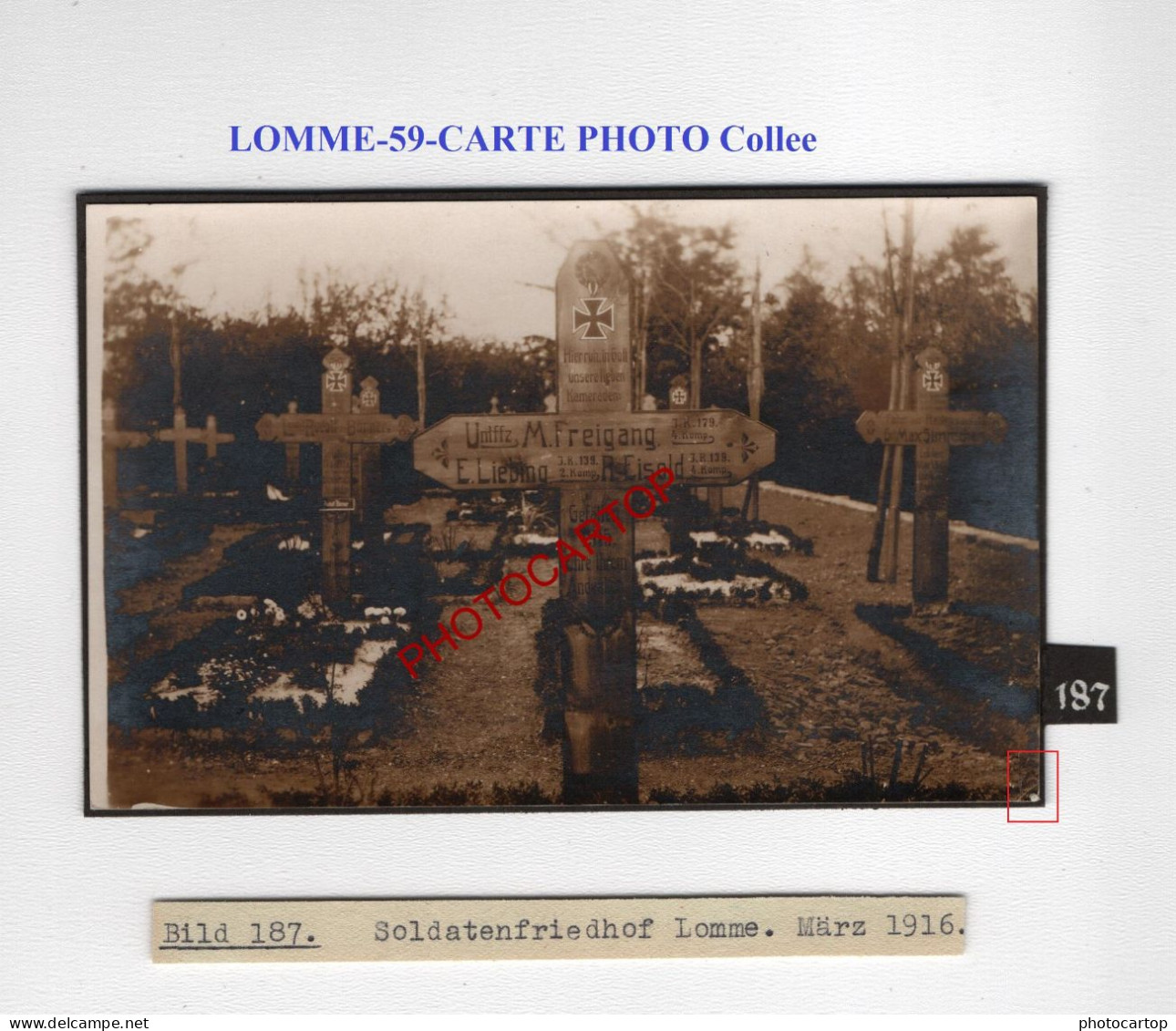 LOMME-59-Tombes-Cimetiere-CARTE PHOTO Allemande Collee-GUERRE 14-18-1 WK-MILITARIA- - Soldatenfriedhöfen