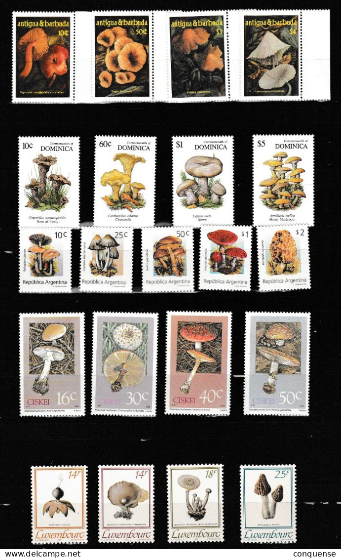 AFRICA  LOTE  DE  5  SERIES - COMPLETAS  DE  SETAS   BUENAS  **  MNH - Mushrooms