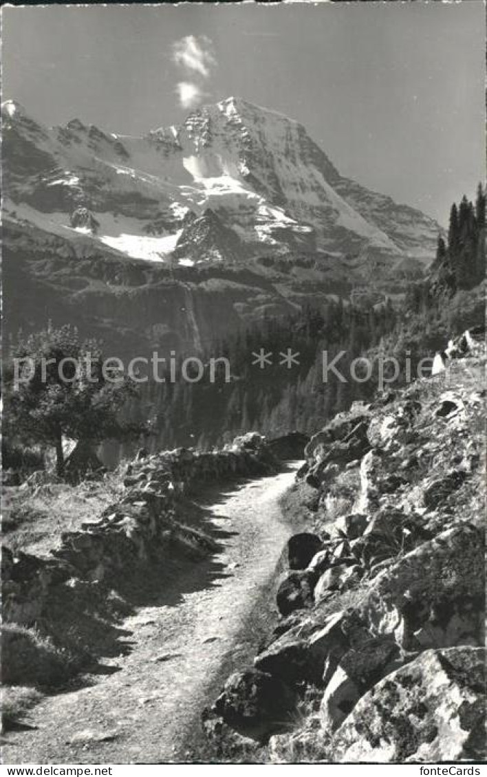 12050479 Trachsellauenen Lauterbrunnen Breithorn Trachselwald - Sonstige & Ohne Zuordnung