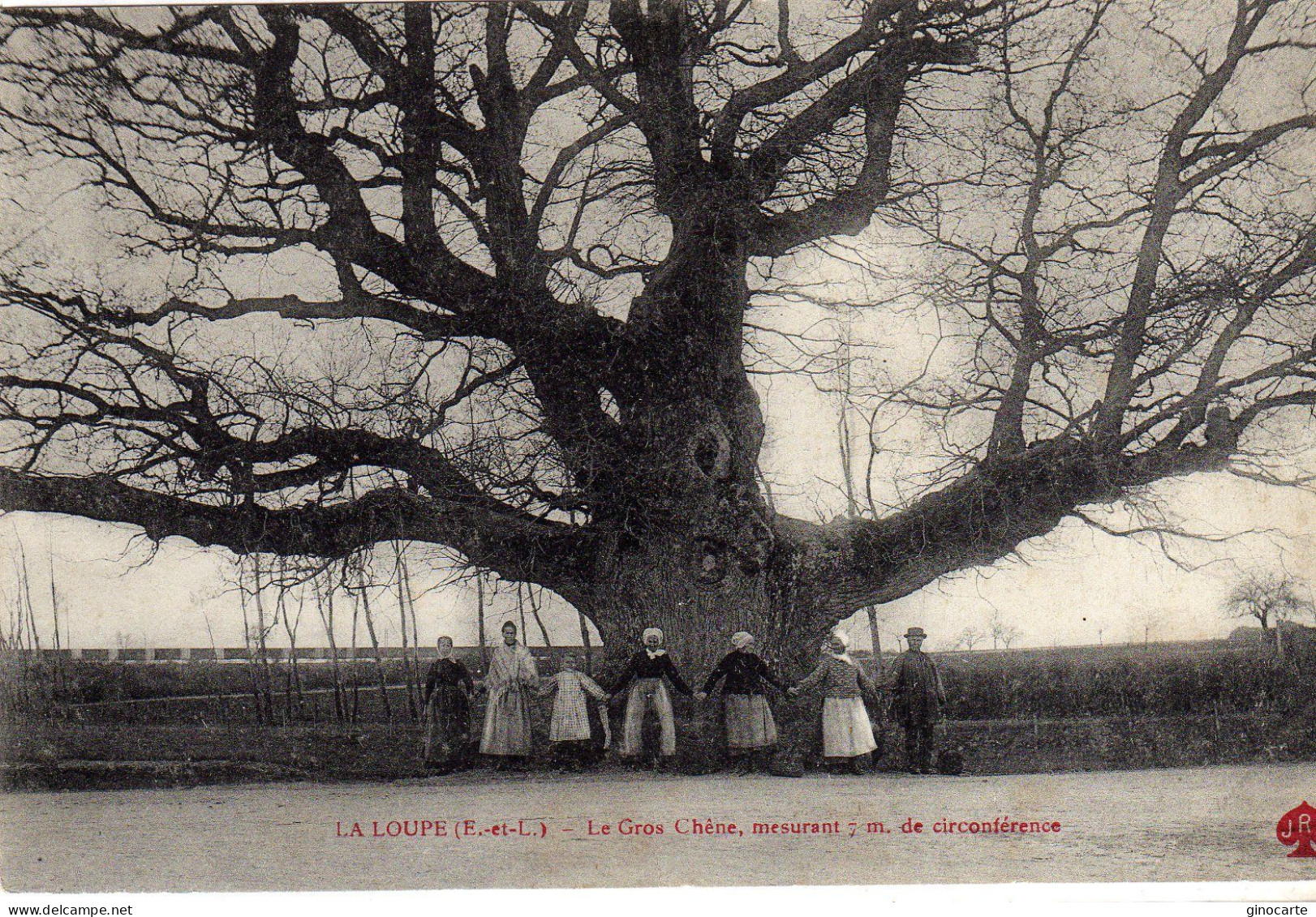 La Loupe Le Gros Chene - La Loupe