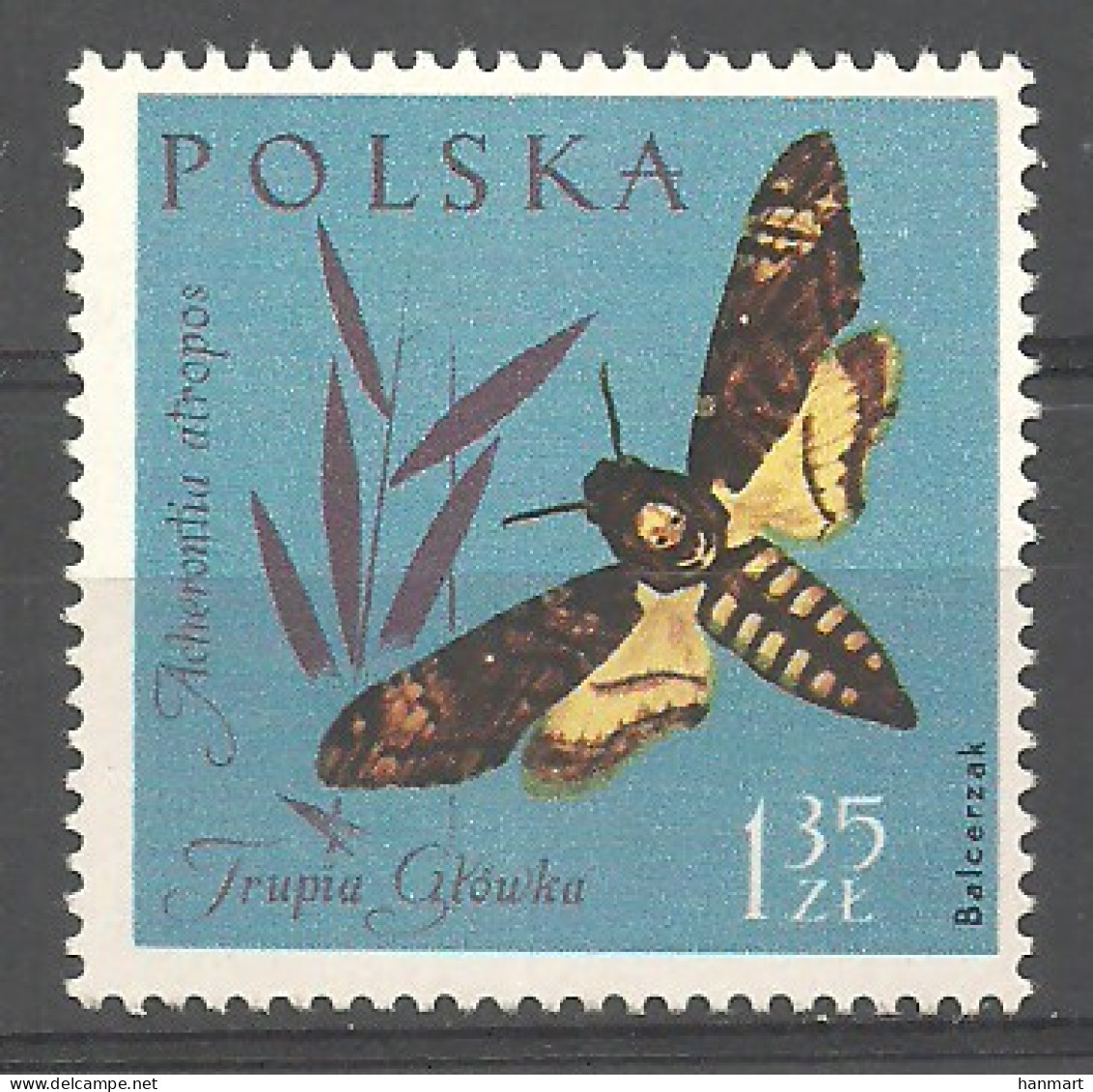 Poland 1961 Mi 1284 MNH  (LZE4 PLD1284) - Papillons